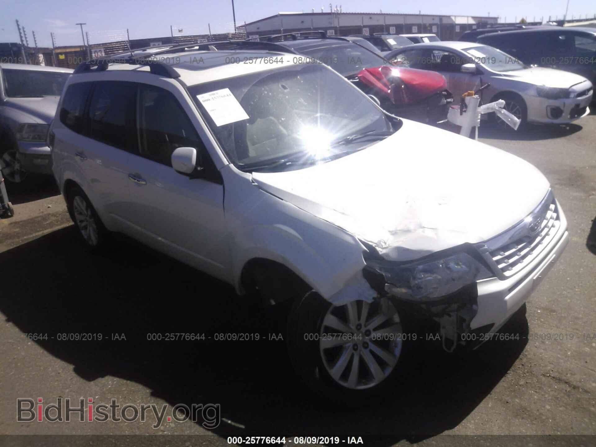 Photo JF2SHAEC7BH721559 - SUBARU FORESTER 2011