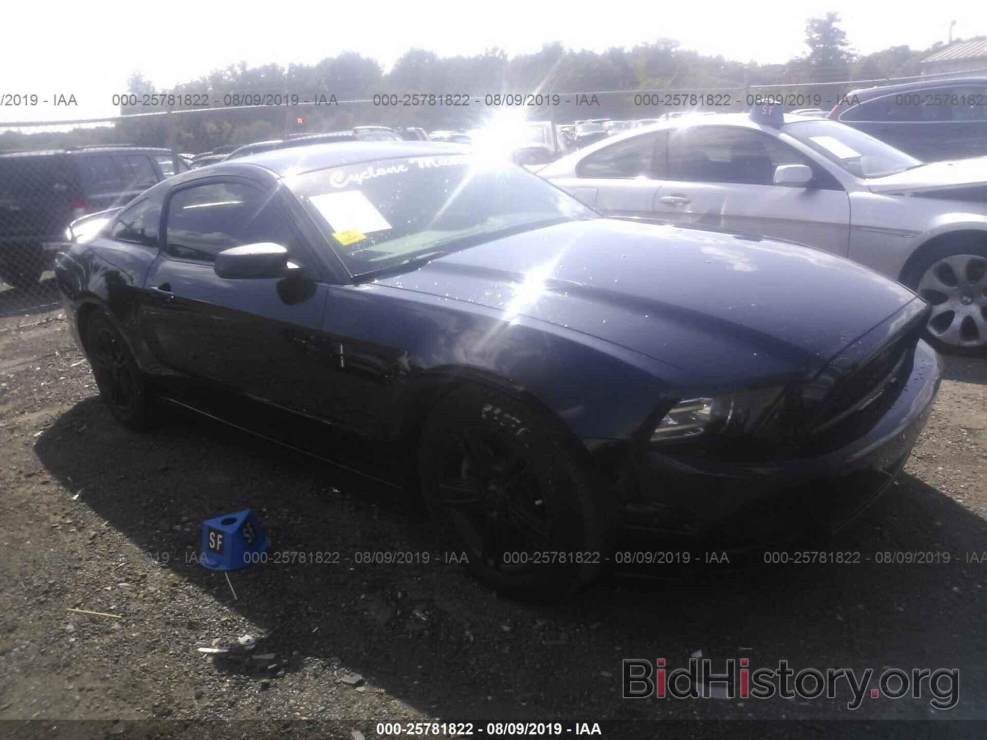 Photo 1ZVBP8AM5D5270884 - FORD MUSTANG 2013