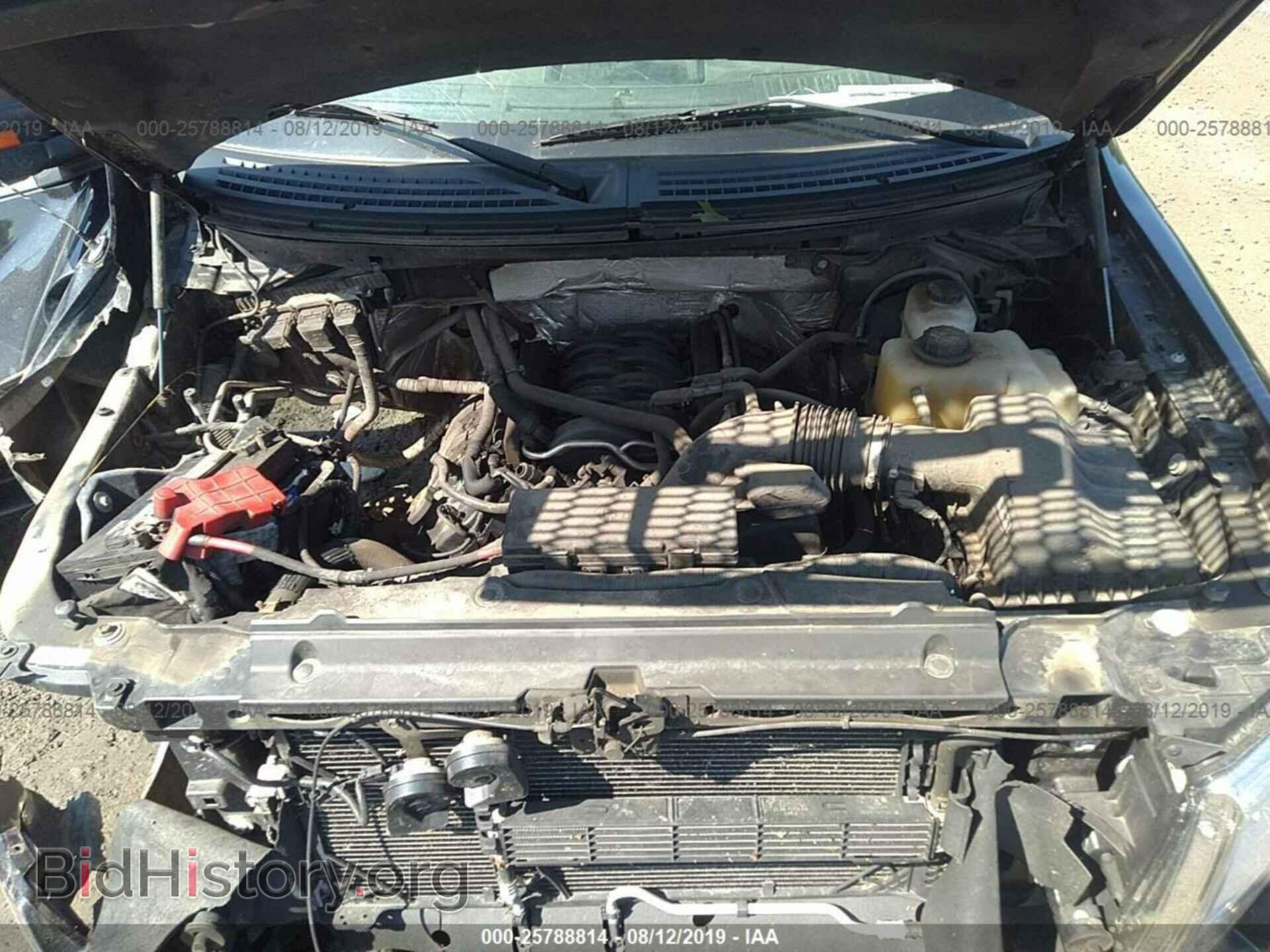2013 FORD F150 - VIN: 1FTFX1EF9DFD97641 - Photo 10