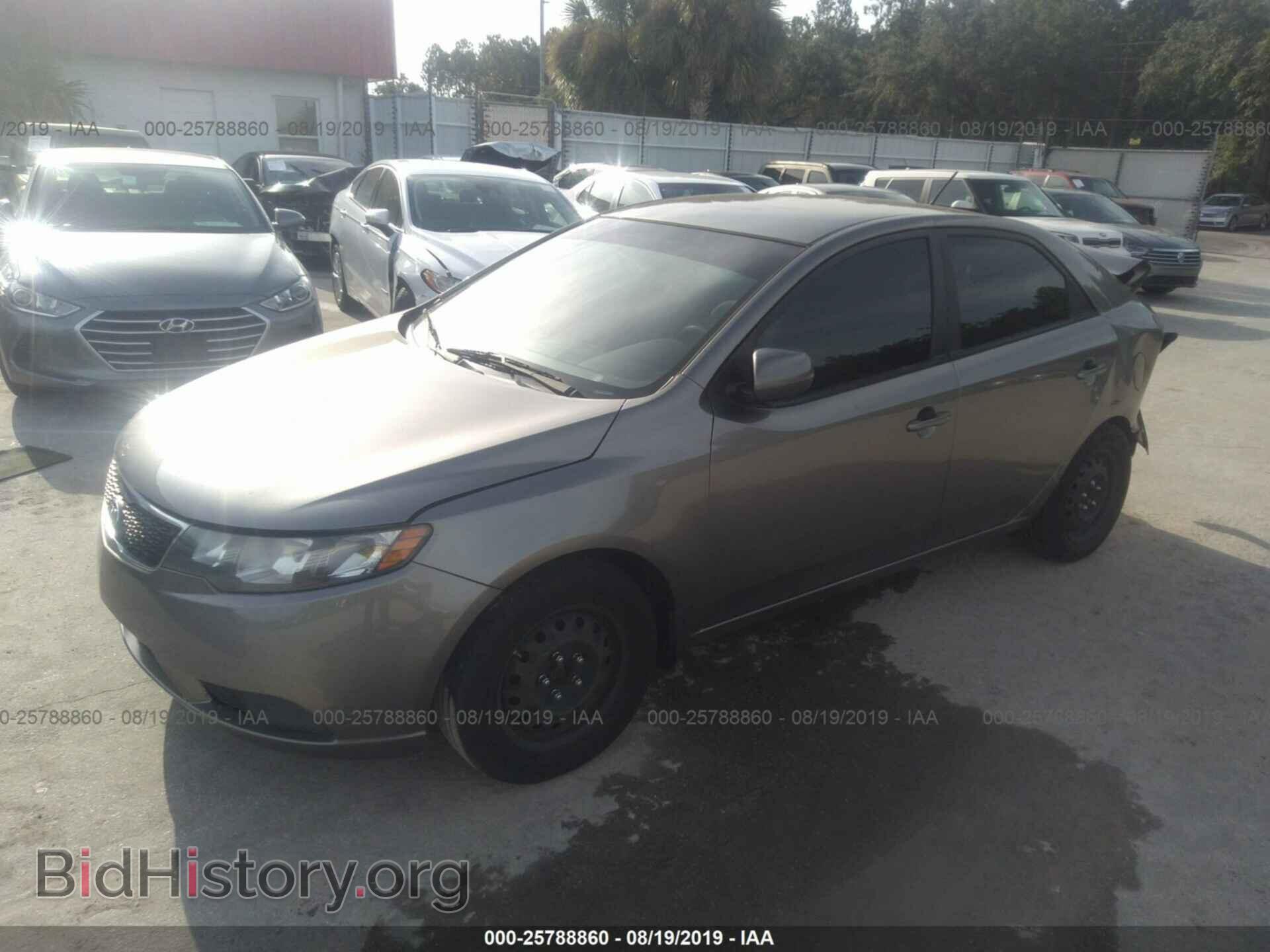 2011 KIA FORTE - VIN: KNAFU4A22B5445817 - Фото 2