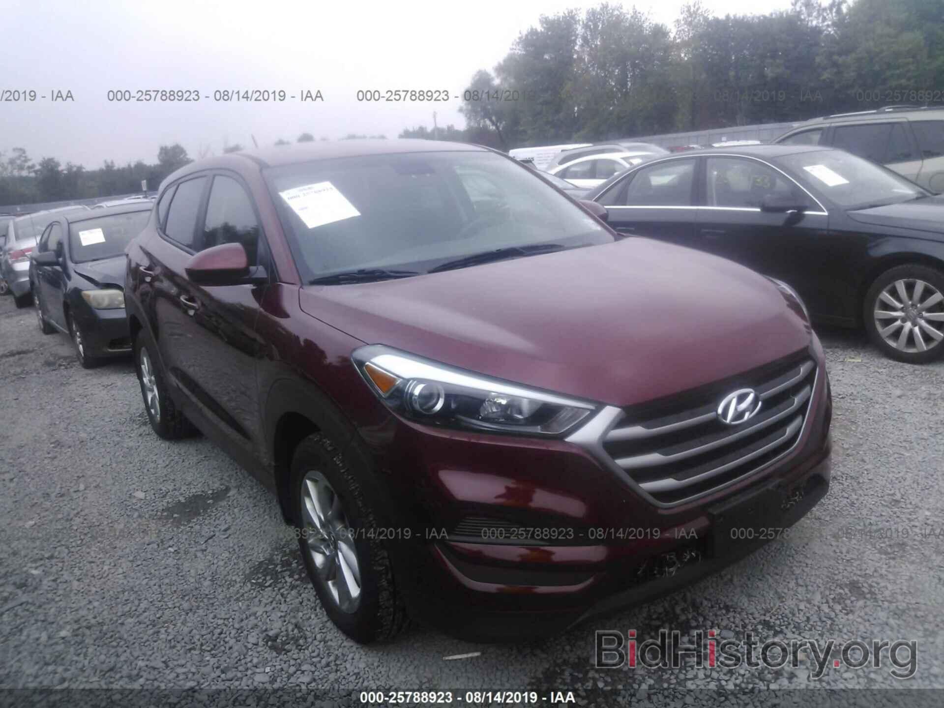 Photo KM8J2CA42JU766156 - HYUNDAI TUCSON 2018