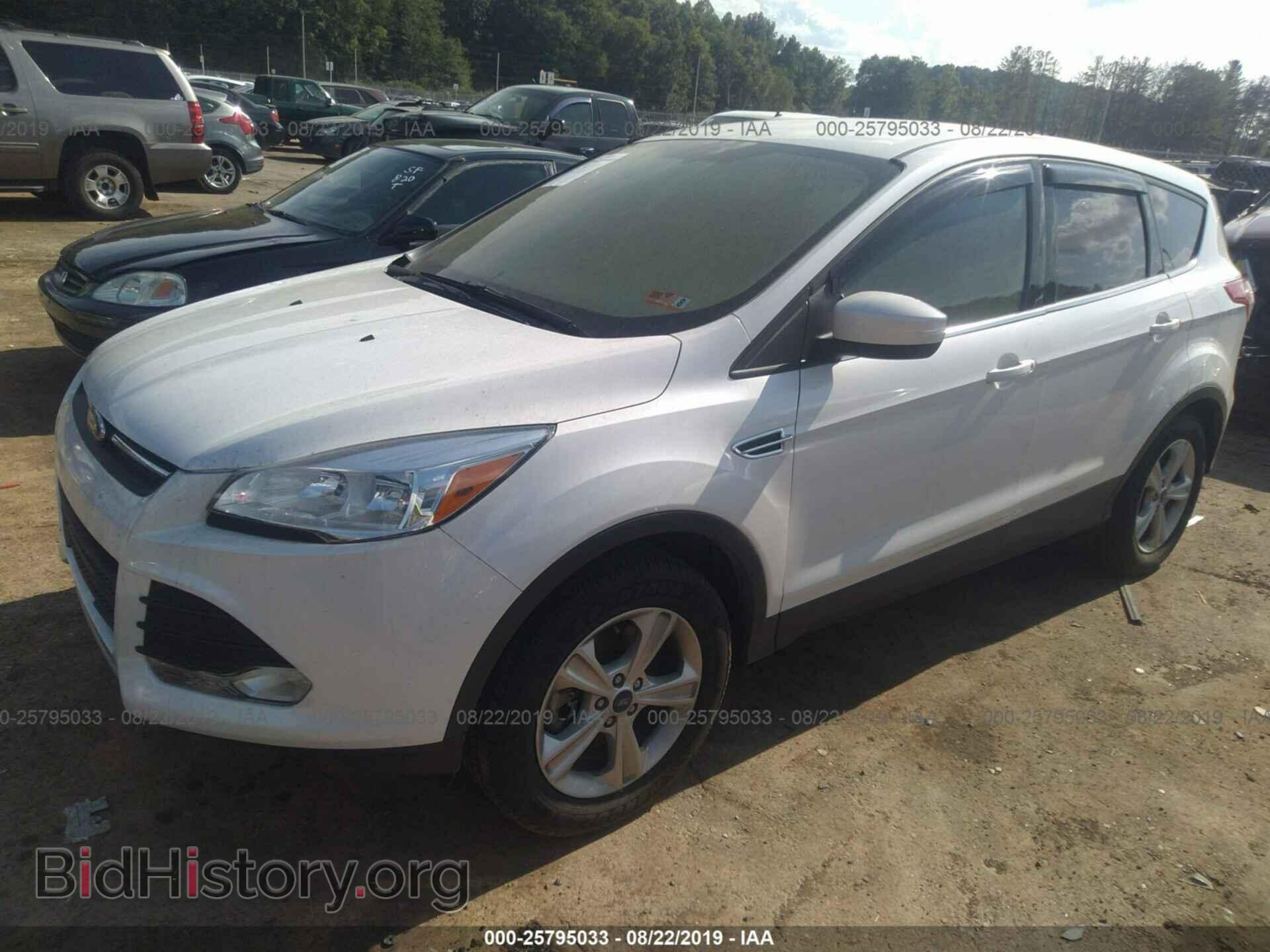 2014 FORD ESCAPE - VIN: 1FMCU9G97EUE50007 - Фото 2