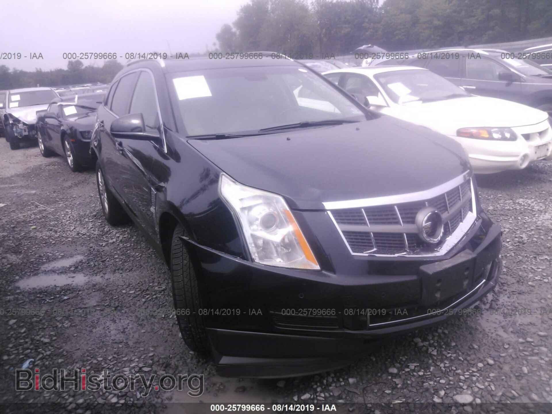 Photo 3GYFNAE30CS600609 - CADILLAC SRX 2012
