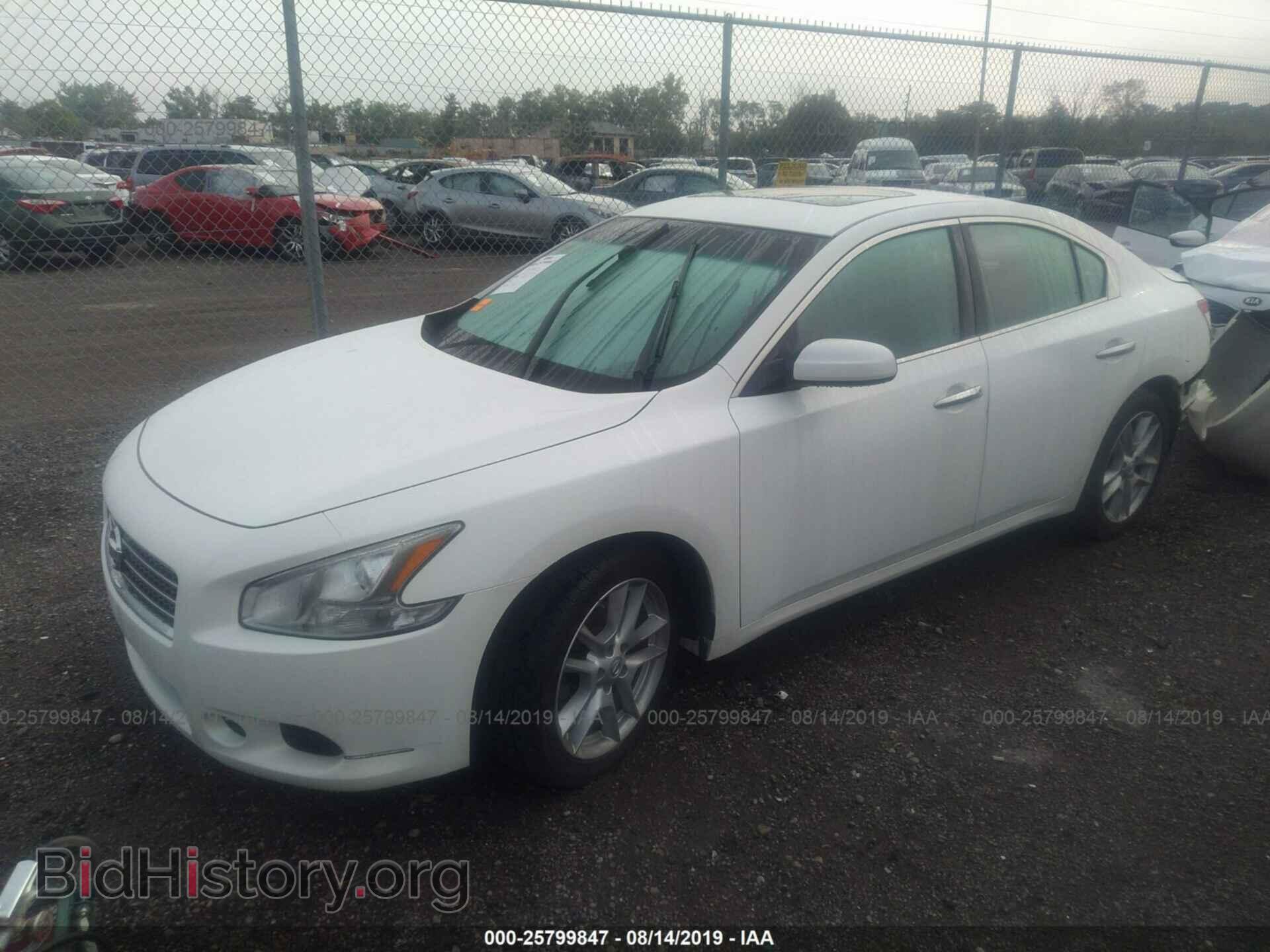 2011 NISSAN MAXIMA - VIN: 1N4AA5AP2BC836247 - Photo 2