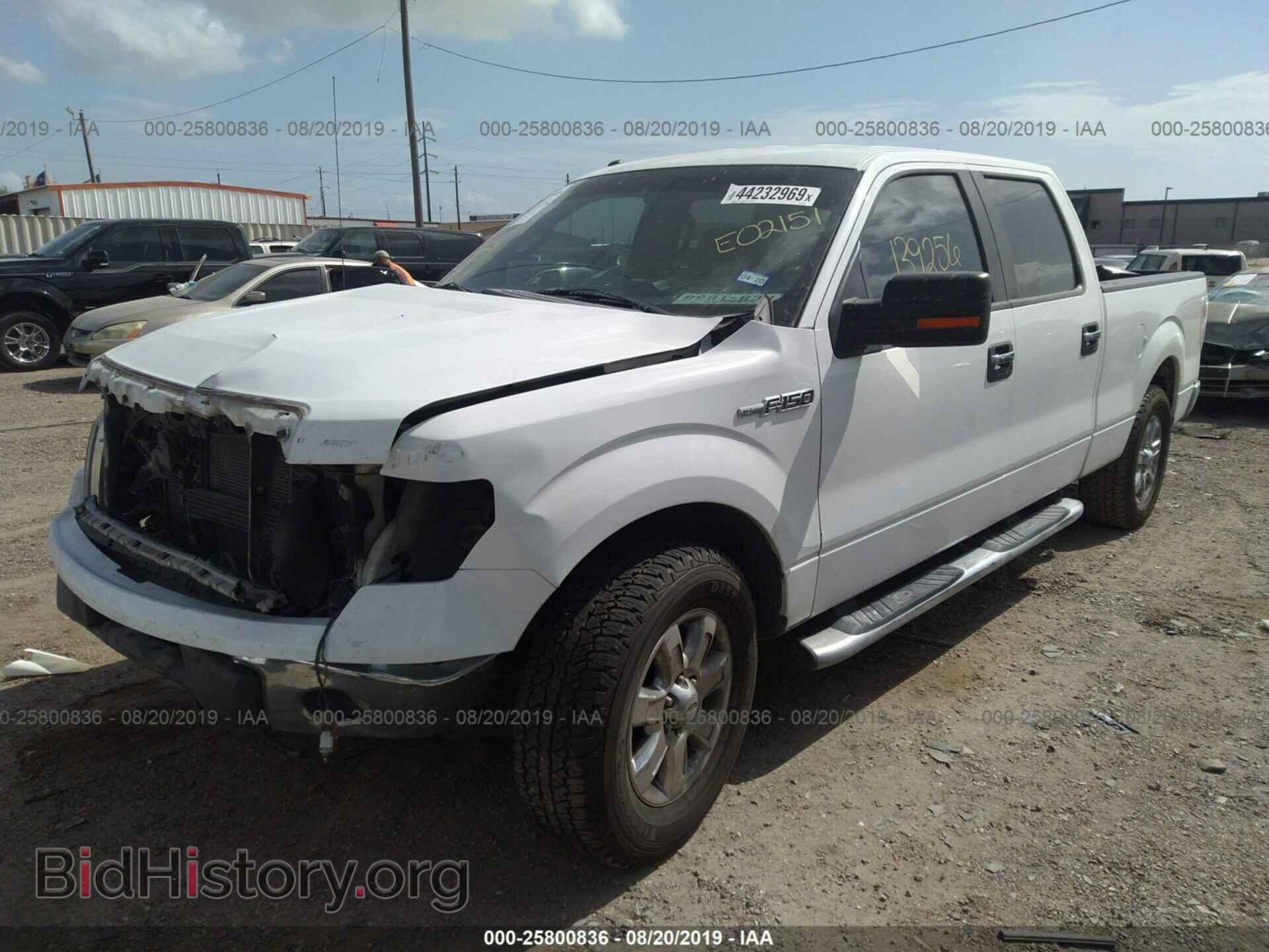 2013 FORD F150 - VIN: 1FTFW1CF1DKE02151 - Фото 2
