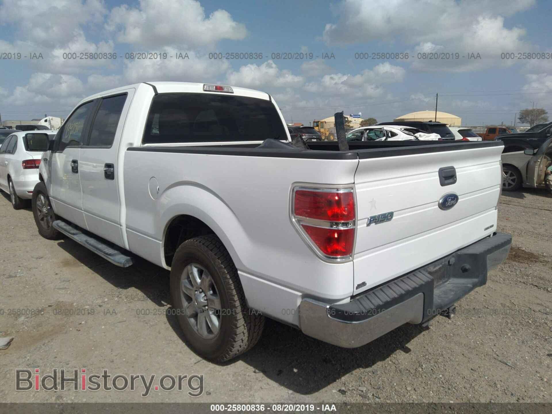 2013 FORD F150 - VIN: 1FTFW1CF1DKE02151 - Фото 3