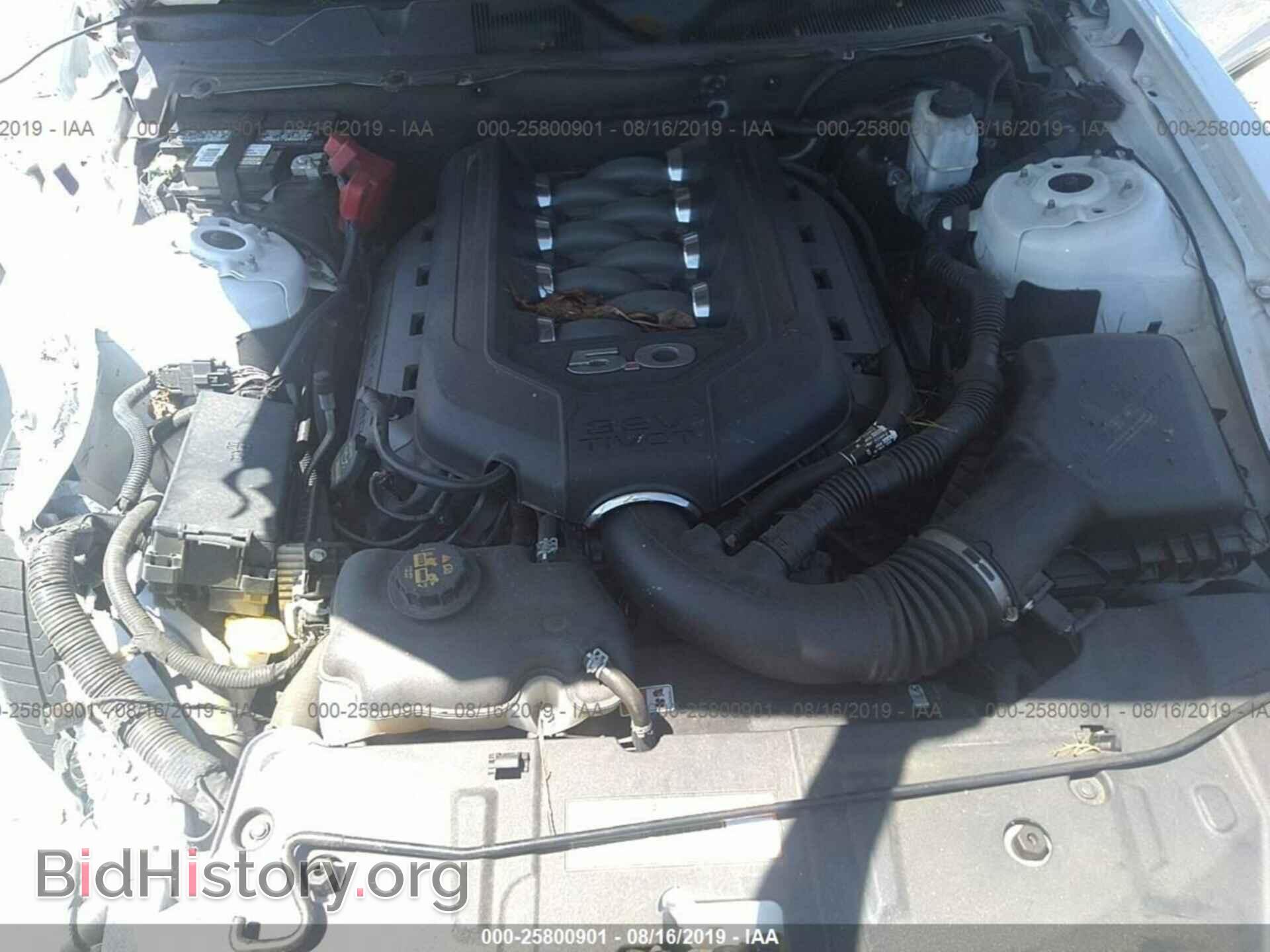 2014 FORD MUSTANG - VIN: 1ZVBP8CFXE5214634 - Фото 10