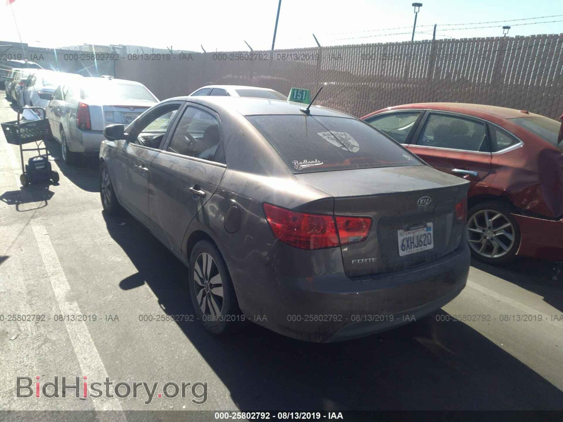 2013 KIA FORTE - VIN: KNAFU4A24D5663003 - Фото 3