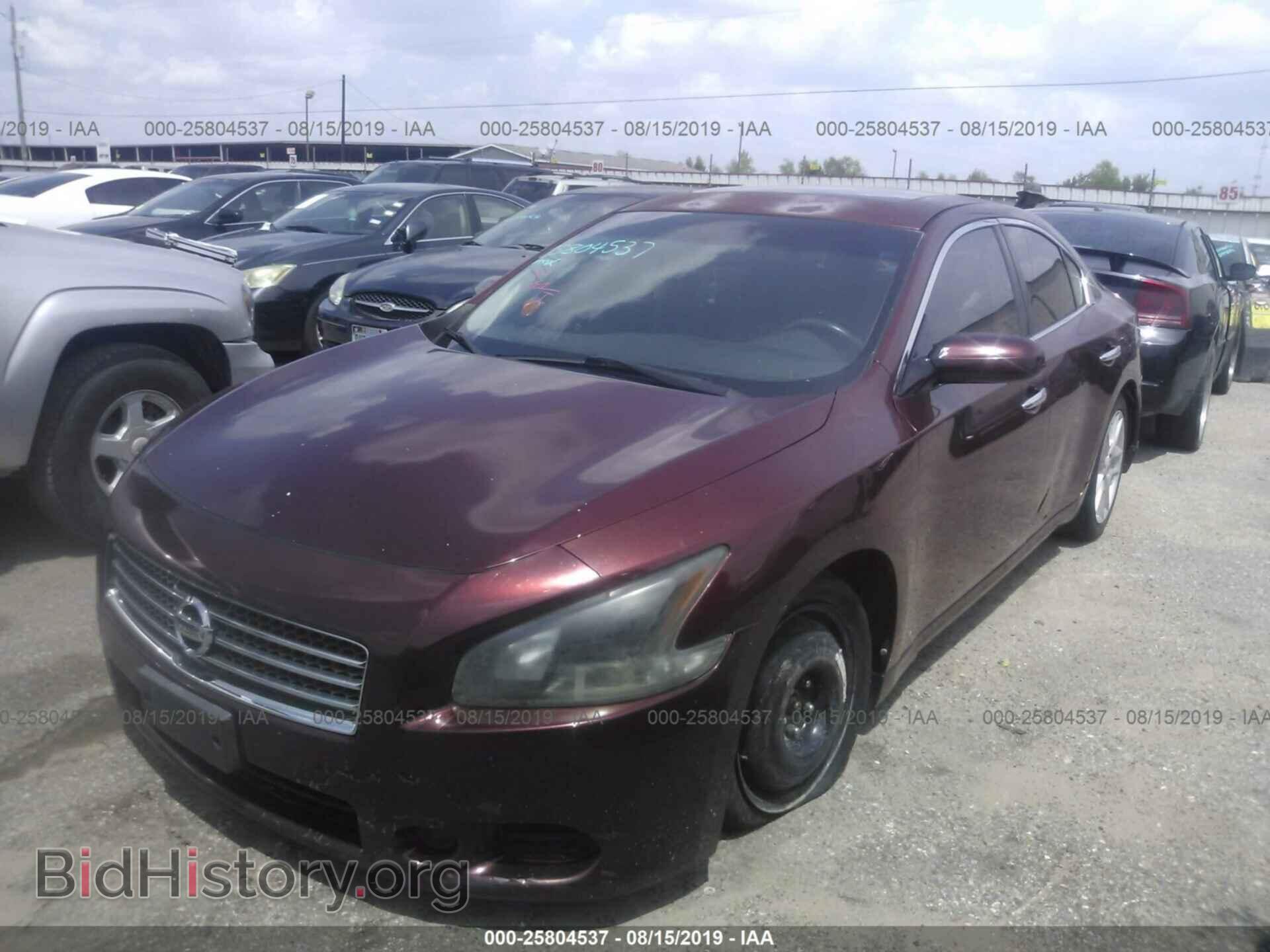 2010 NISSAN MAXIMA - VIN: 1N4AA5AP8AC824330 - Фото 2