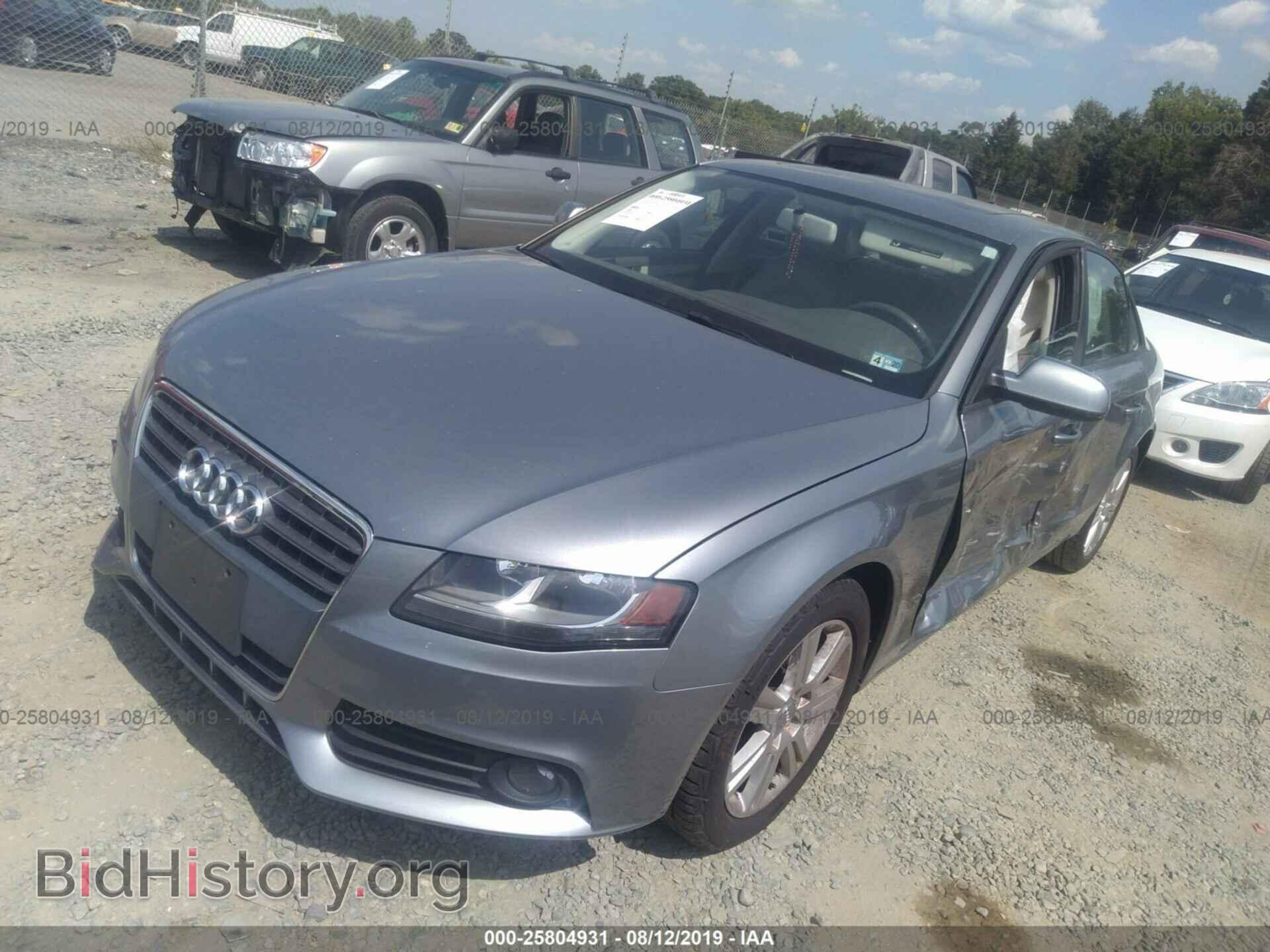 2010 AUDI A4 - VIN: WAUAFAFL2AN046313 - Фото 2