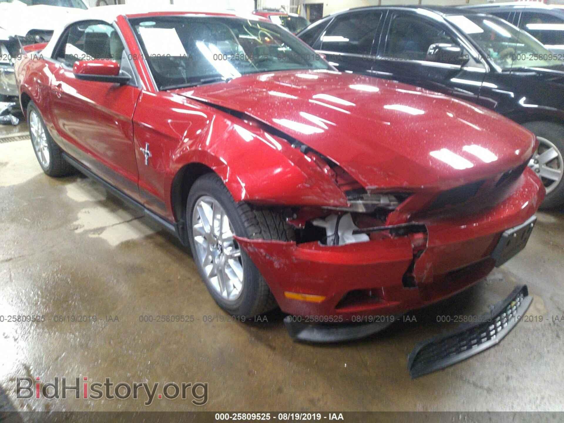 Фотография 1ZVBP8EM8C5272783 - FORD MUSTANG 2012
