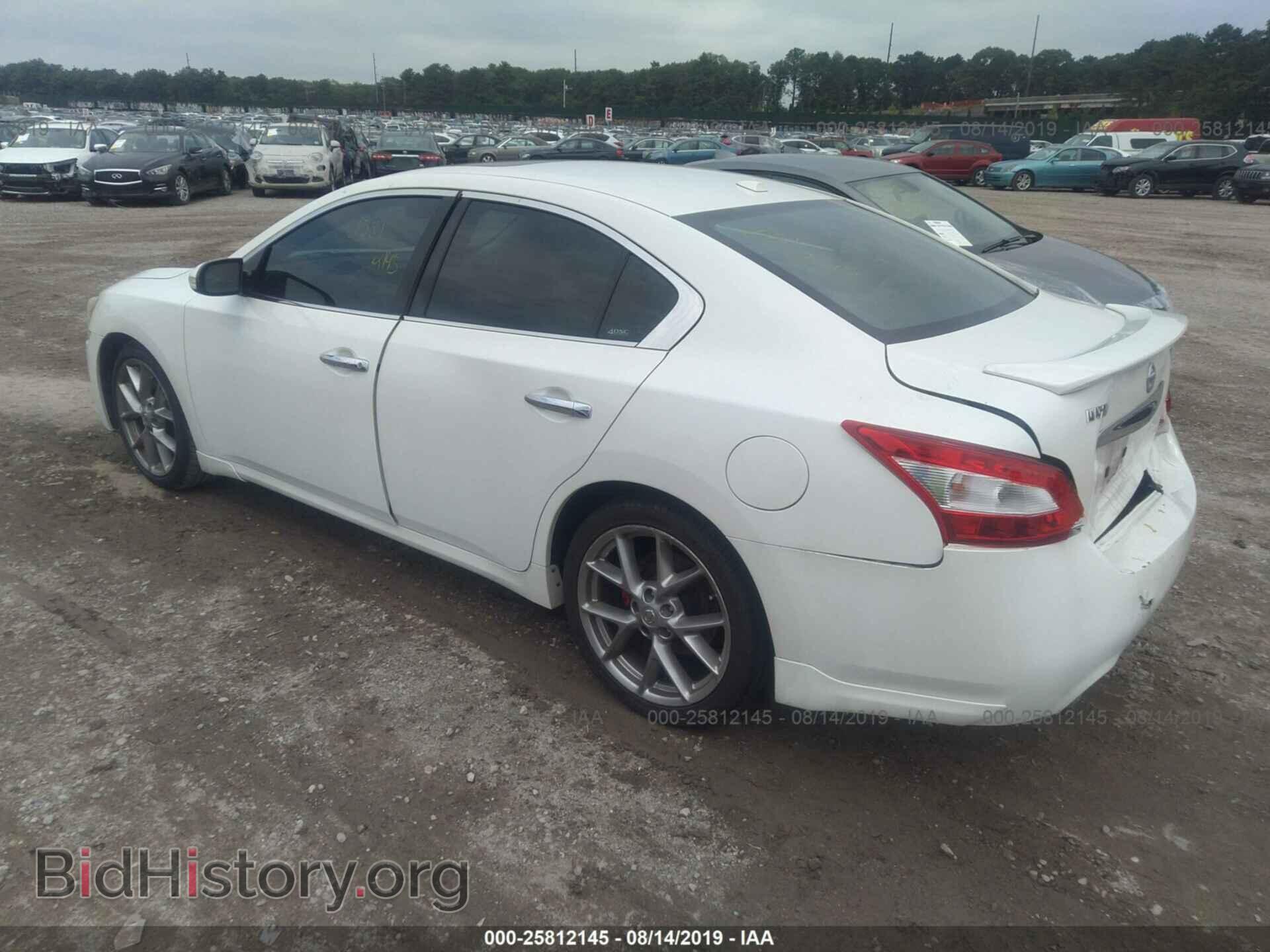 2010 NISSAN MAXIMA - VIN: 1N4AA5AP3AC847790 - Фото 3