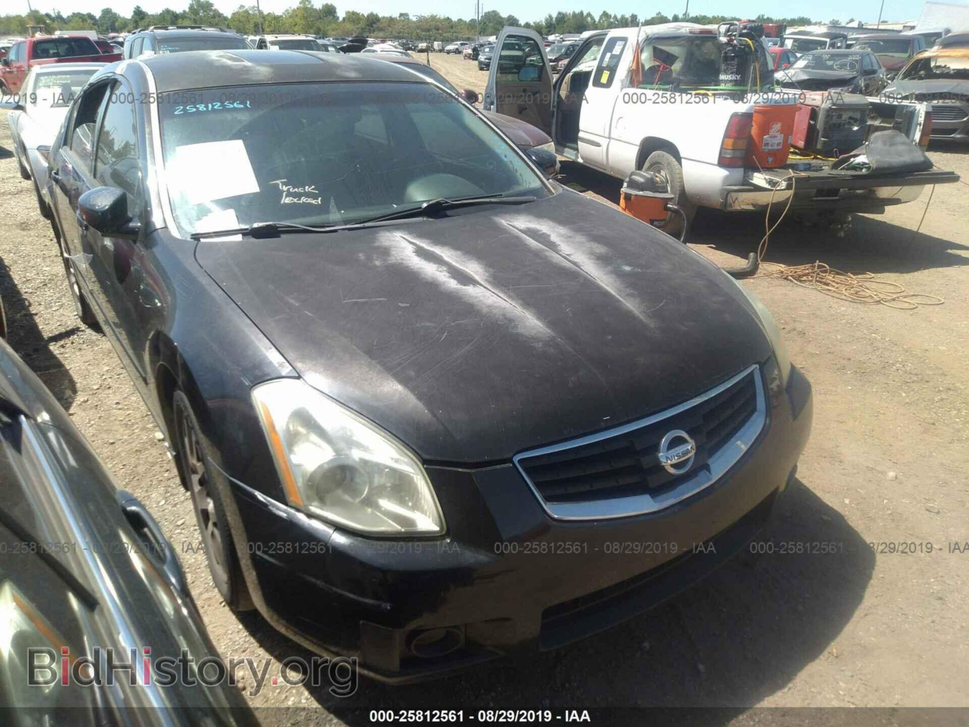 Photo 1N4BA41E68C822325 - NISSAN MAXIMA 2008