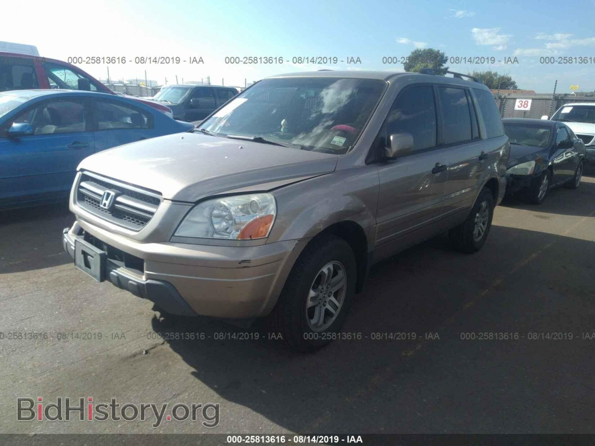 2005 HONDA PILOT - VIN: 5FNYF18445B041898 - Фото 2