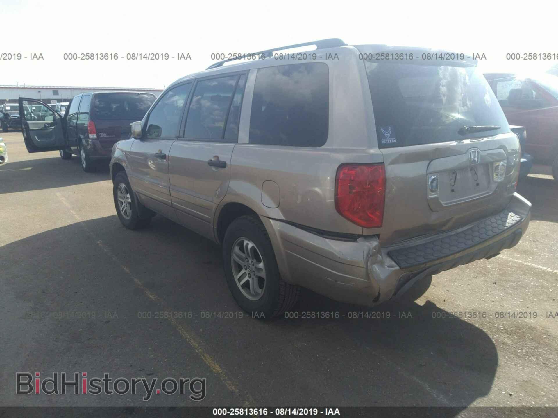 2005 HONDA PILOT - VIN: 5FNYF18445B041898 - Фото 3