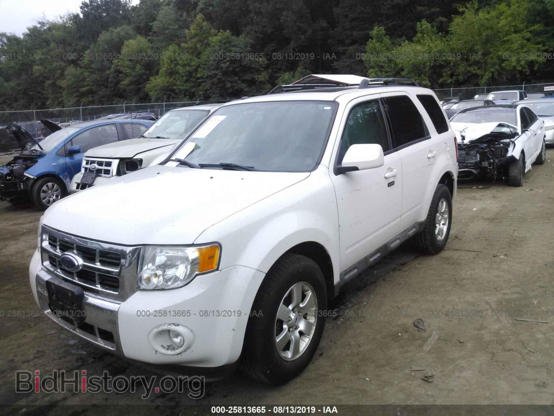 2009 FORD ESCAPE - VIN: 1FMCU94G29KC50351 - Фото 2