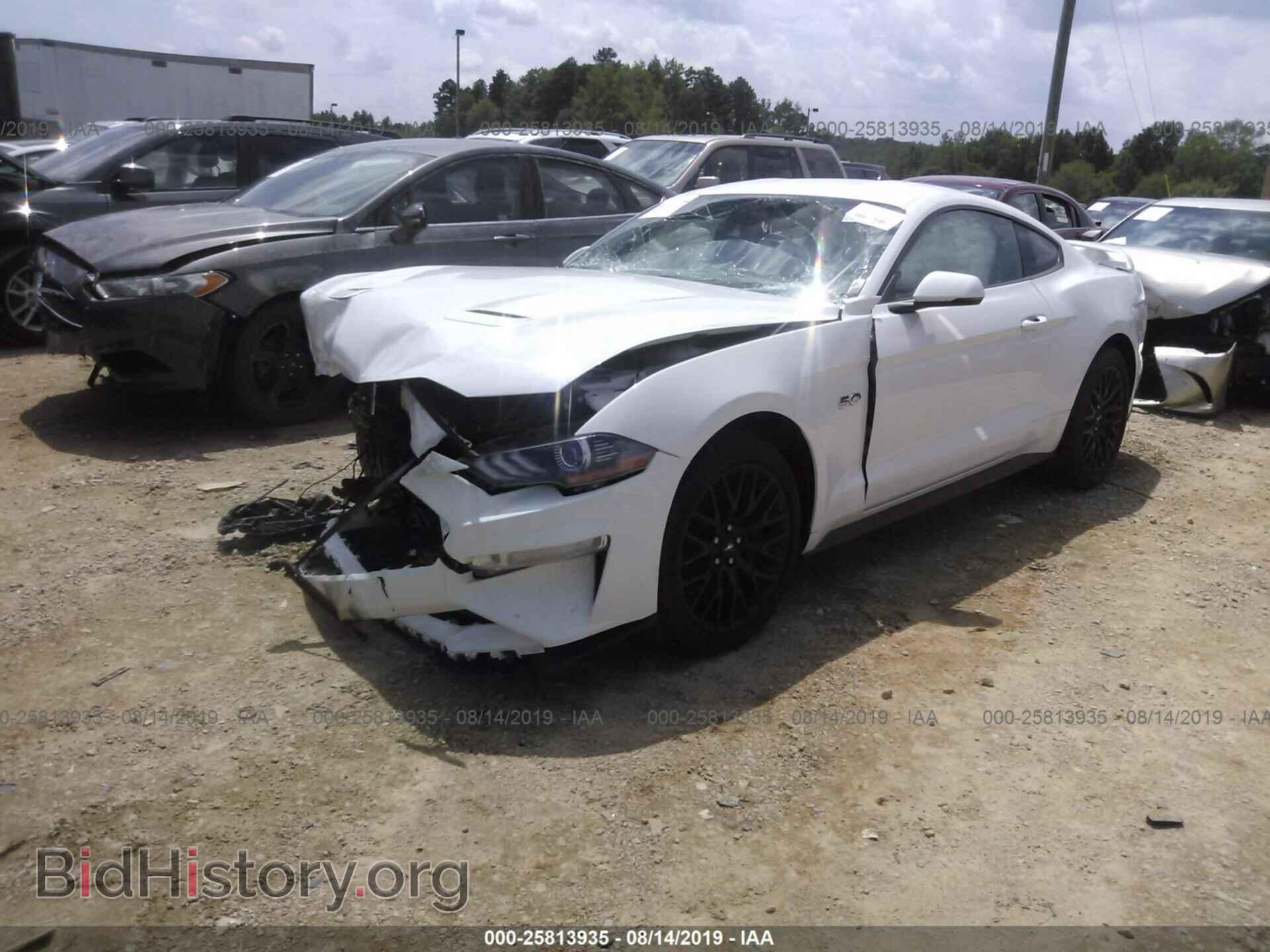 2019 FORD MUSTANG - VIN: 1FA6P8CF8K5129278 - Фото 2