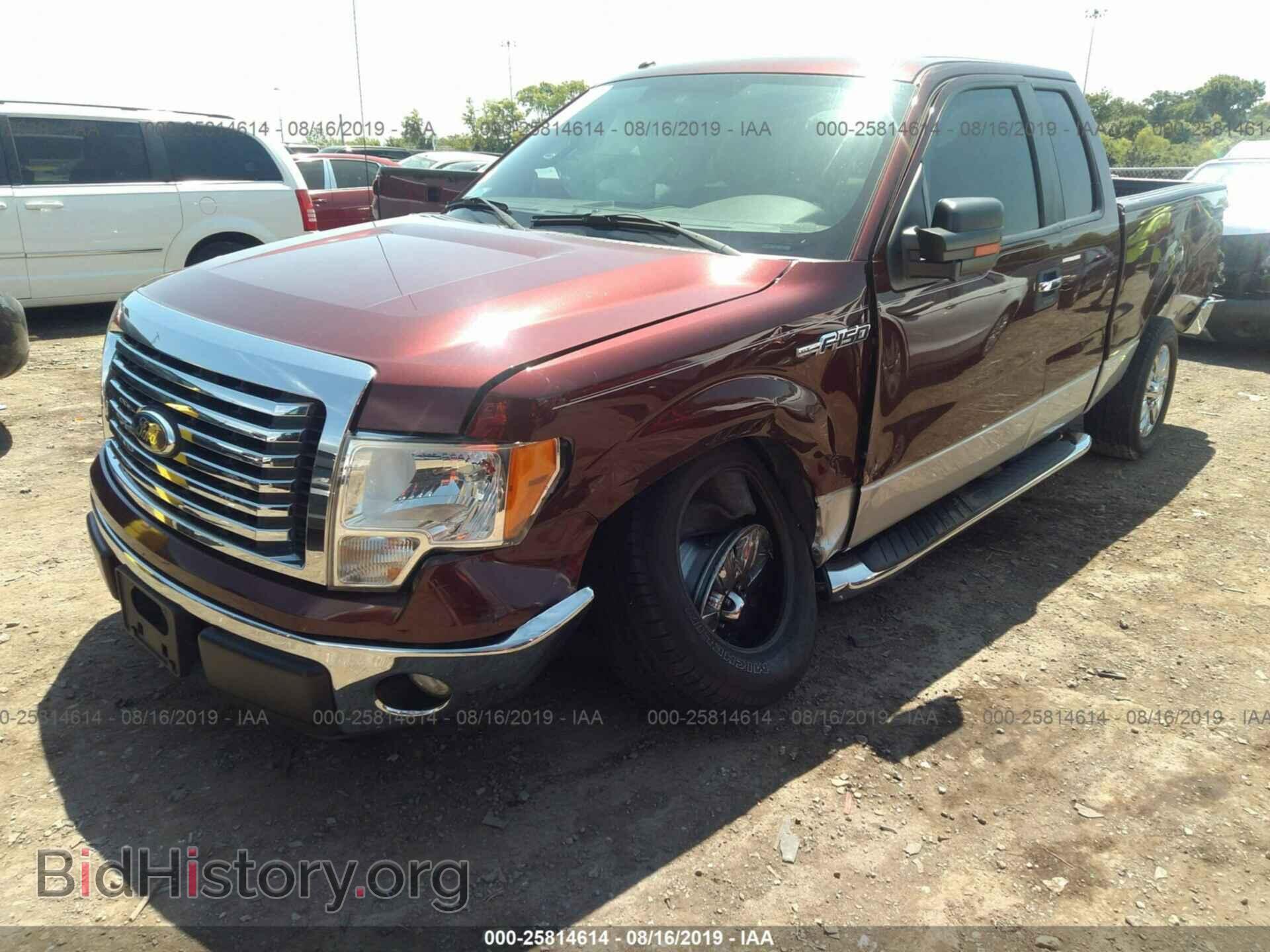 2010 FORD F150 - VIN: 1FTEX1C83AFD50083 - Фото 2