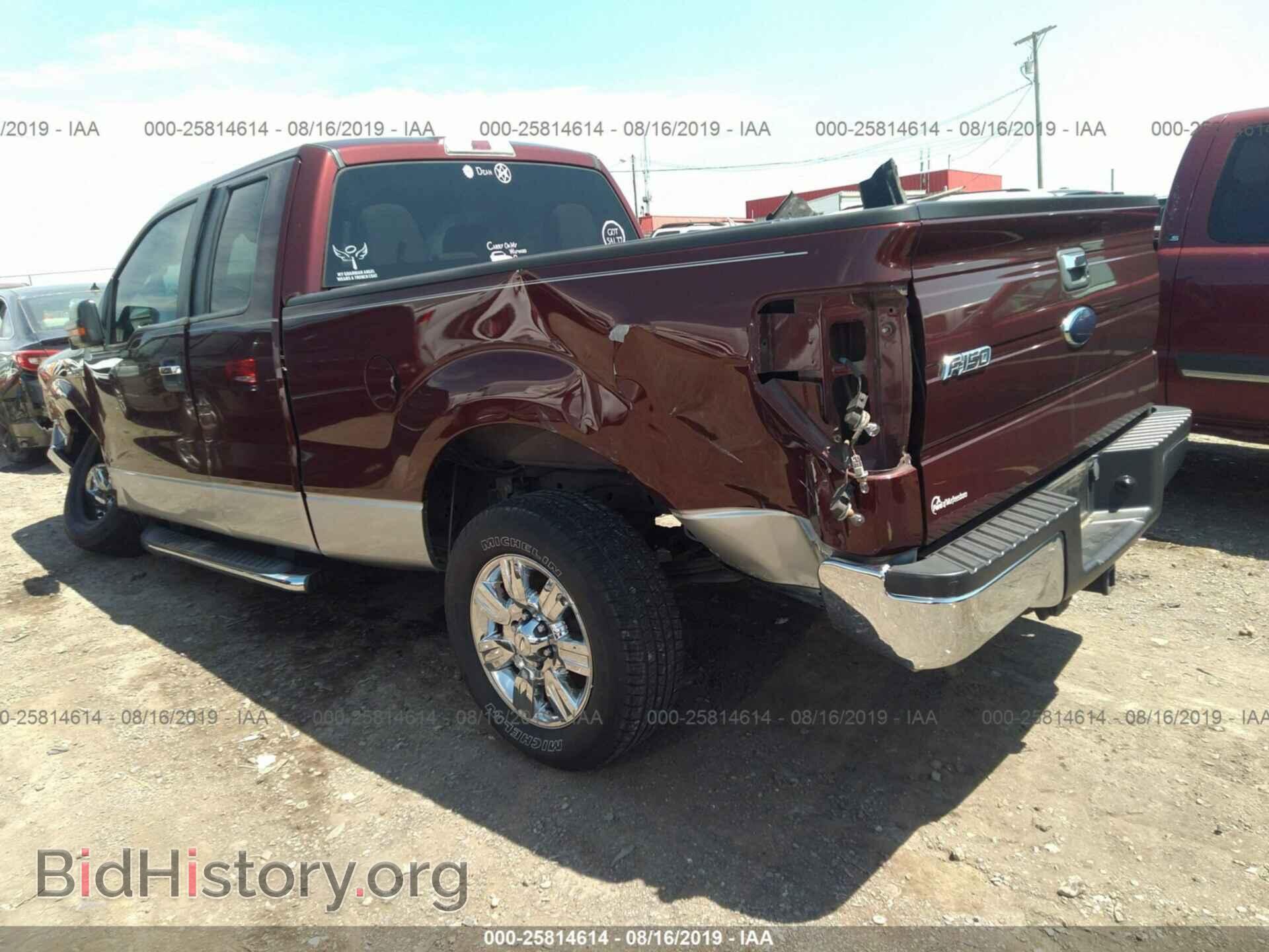 2010 FORD F150 - VIN: 1FTEX1C83AFD50083 - Фото 3