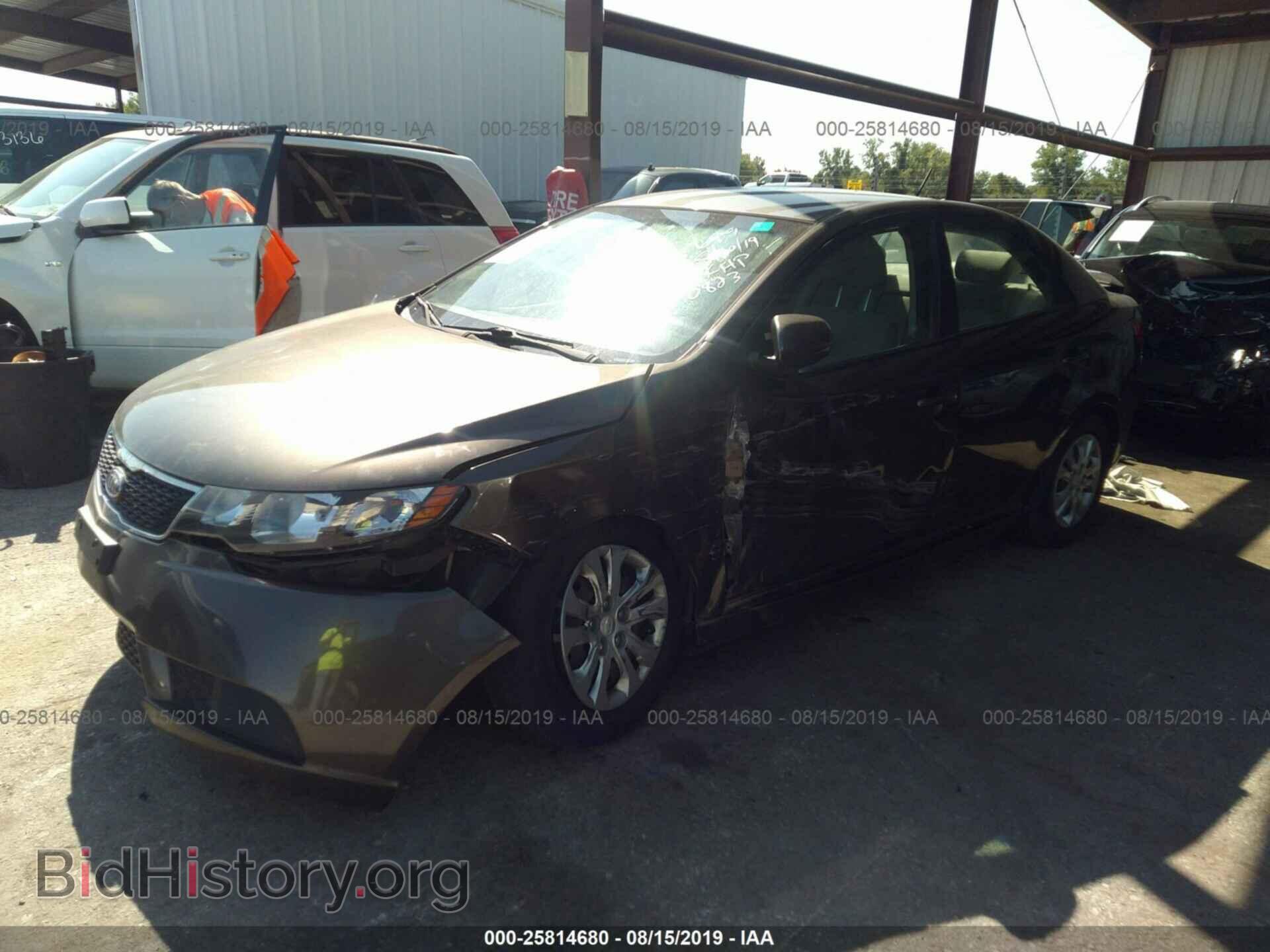 2012 KIA FORTE - VIN: KNAFU4A20C5490823 - Фото 2