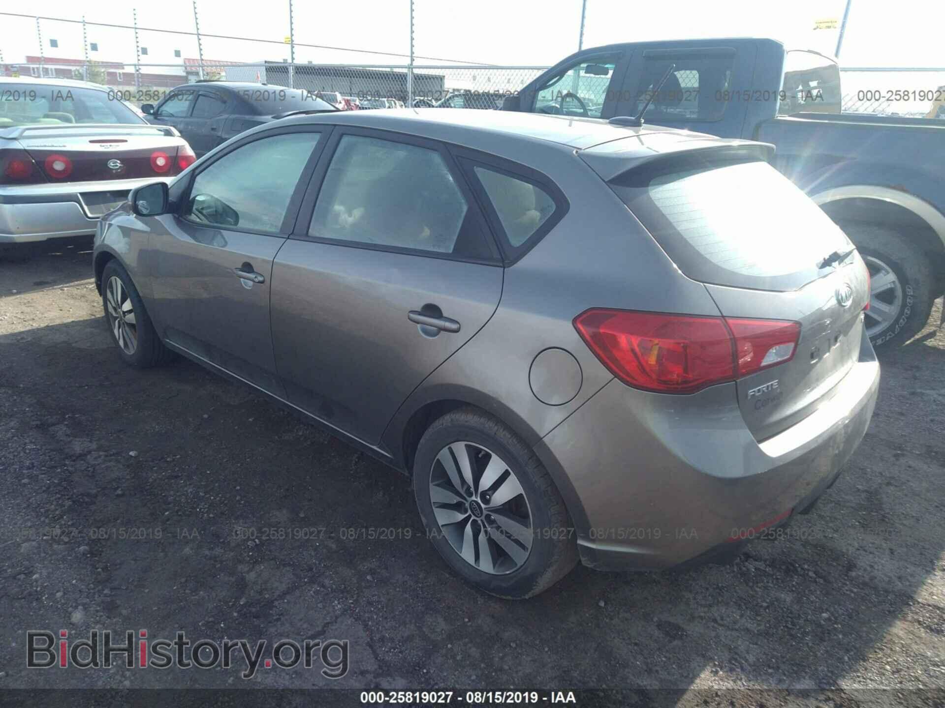 2013 KIA FORTE - VIN: KNAFU5A28D5649062 - Фото 3