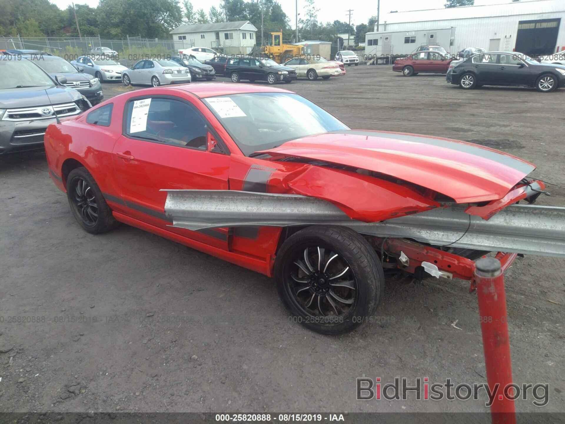 Photo 1ZVBP8AM5D5241658 - FORD MUSTANG 2013