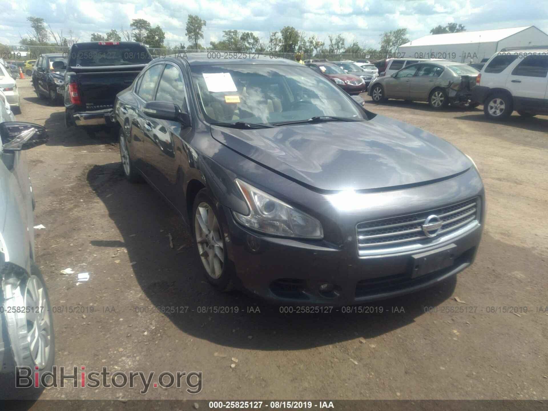 Фотография 1N4AA5AP0BC833203 - NISSAN MAXIMA 2011