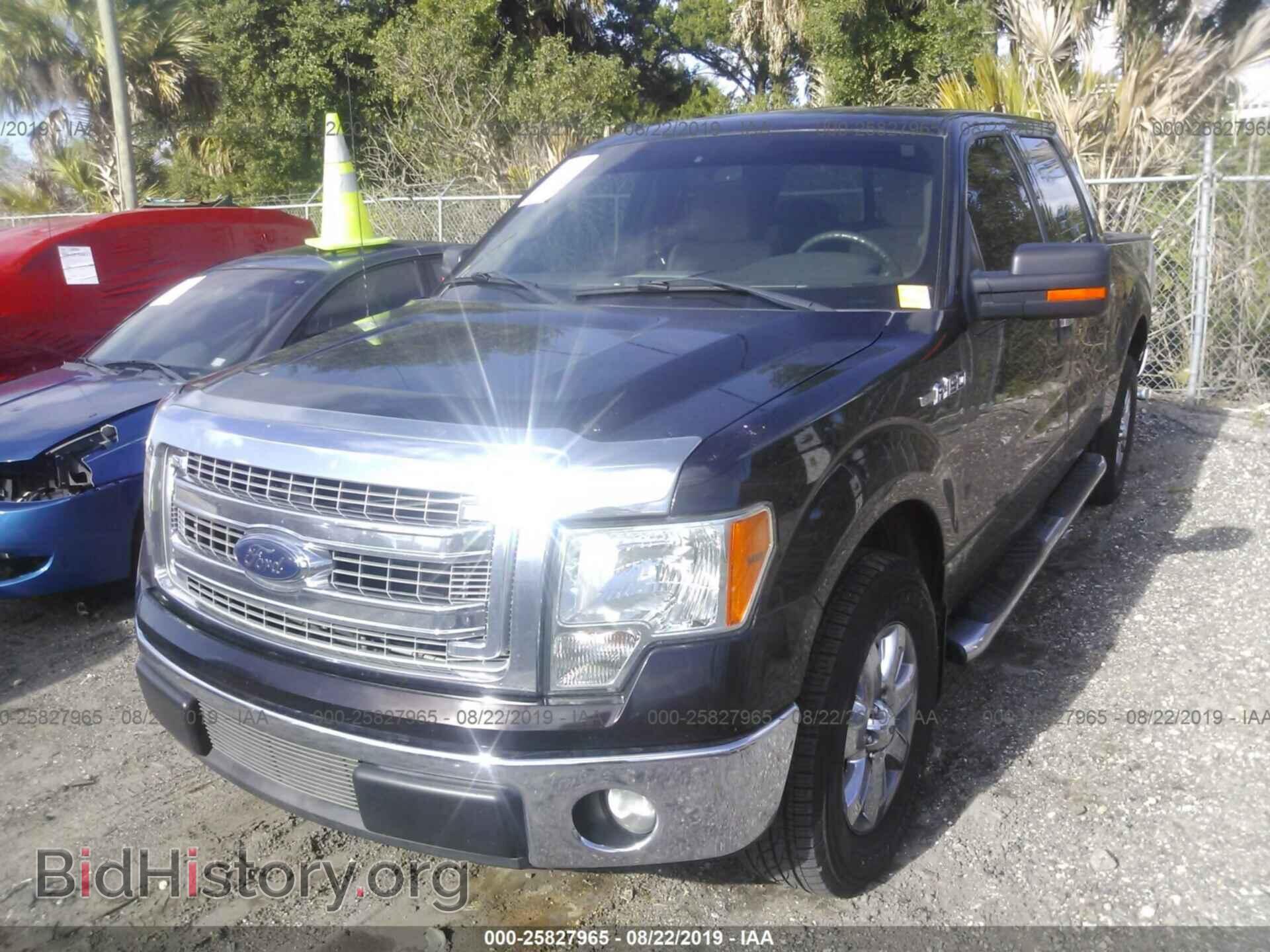 2013 FORD F150 - VIN: 1FTFW1CFXDFD94124 - Фото 2
