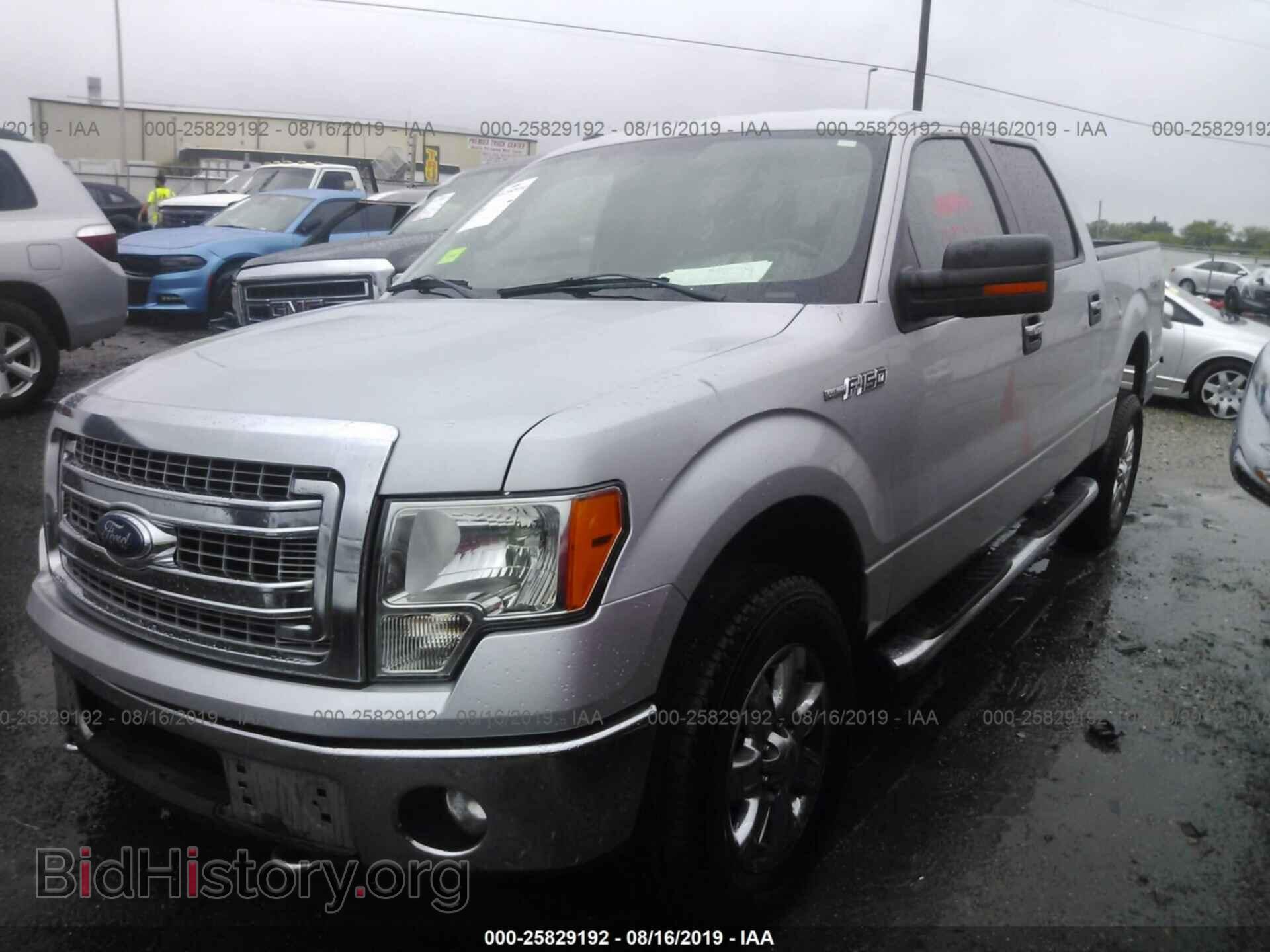 2013 FORD F150 - VIN: 1FTFW1EF9DKD45713 - Фото 2