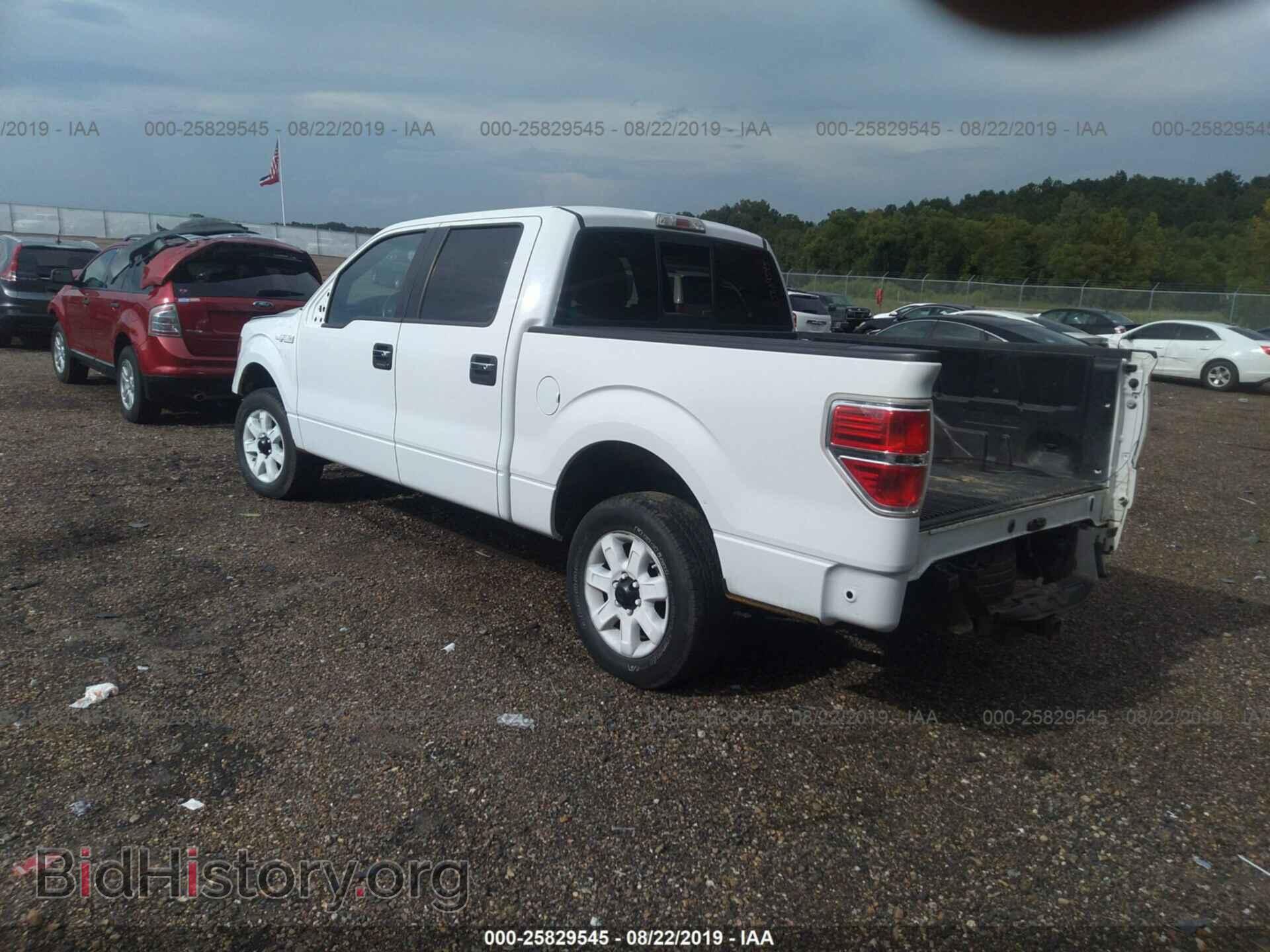 2013 FORD F150 - VIN: 1FTFW1CF7DKE80448 - Фото 3