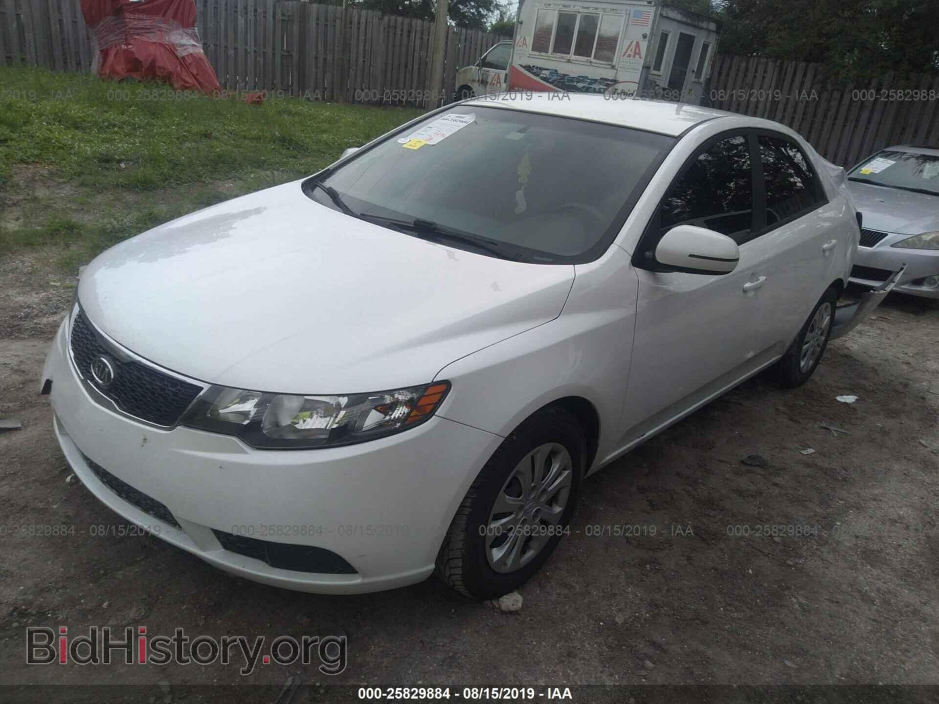 2013 KIA FORTE - VIN: KNAFU4A25D5694888 - Фото 2