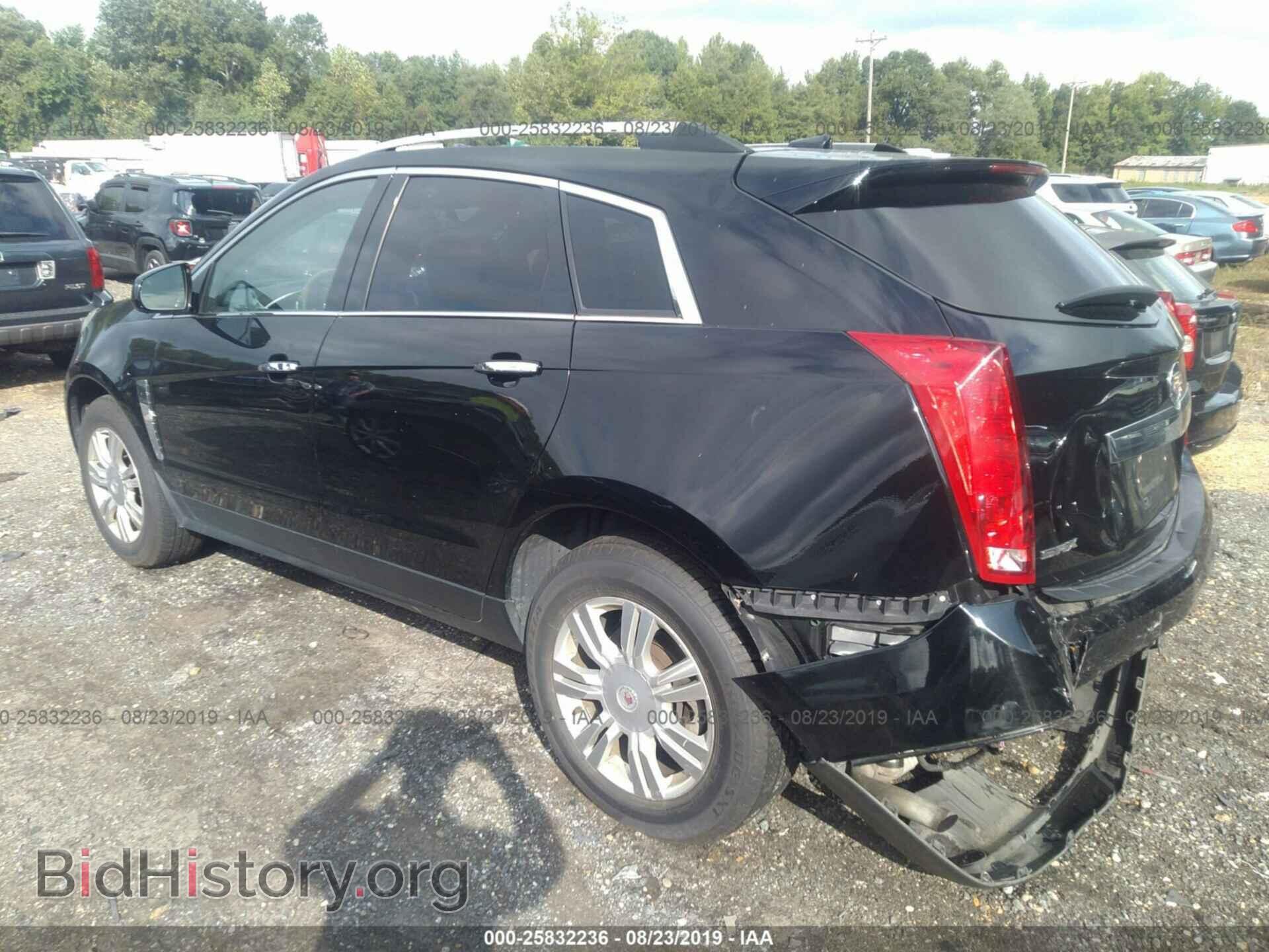 2011 CADILLAC SRX - VIN: 3GYFNAEY8BS523174 - Фото 3