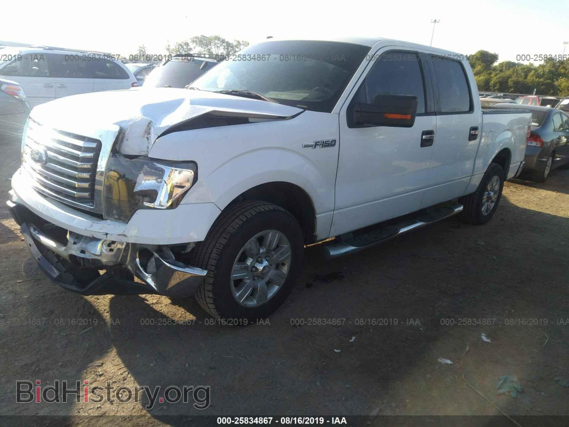 2010 FORD F150 - VIN: 1FTEW1C80AFA64548 - Фото 2