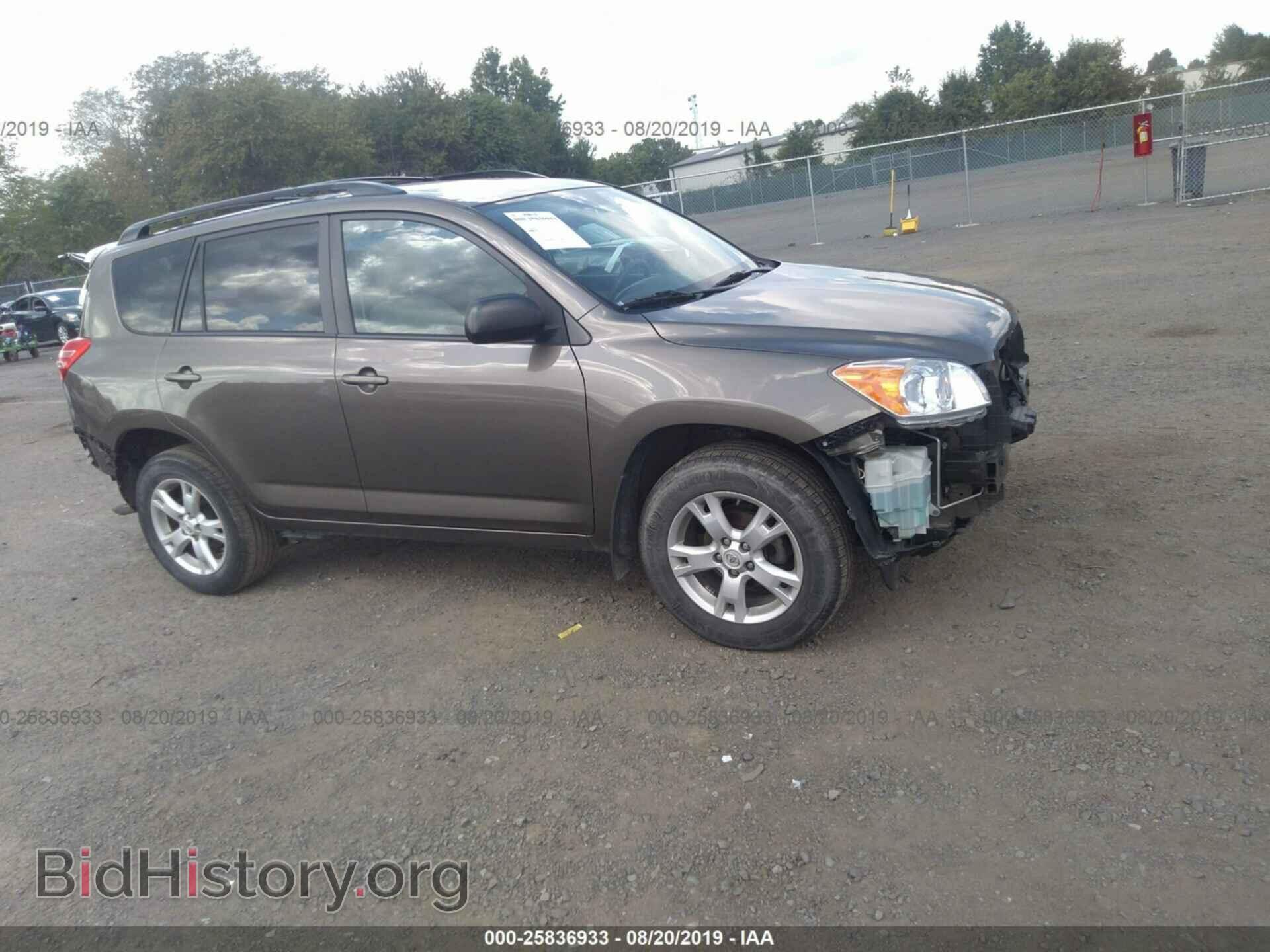 Фотография 2T3BF4DV3CW184466 - TOYOTA RAV4 2012
