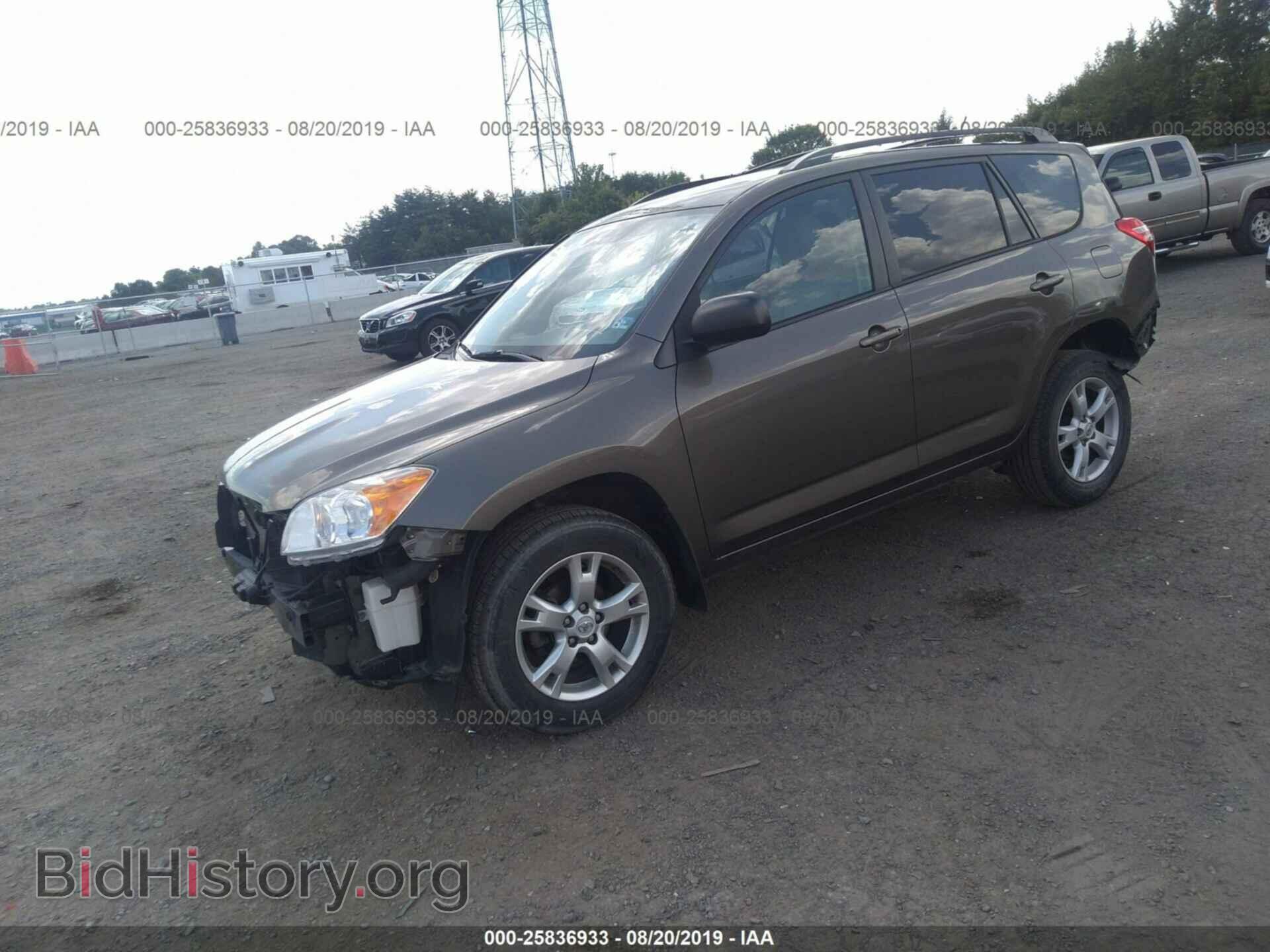 2012 TOYOTA RAV4 - VIN: 2T3BF4DV3CW184466 - Фото 2