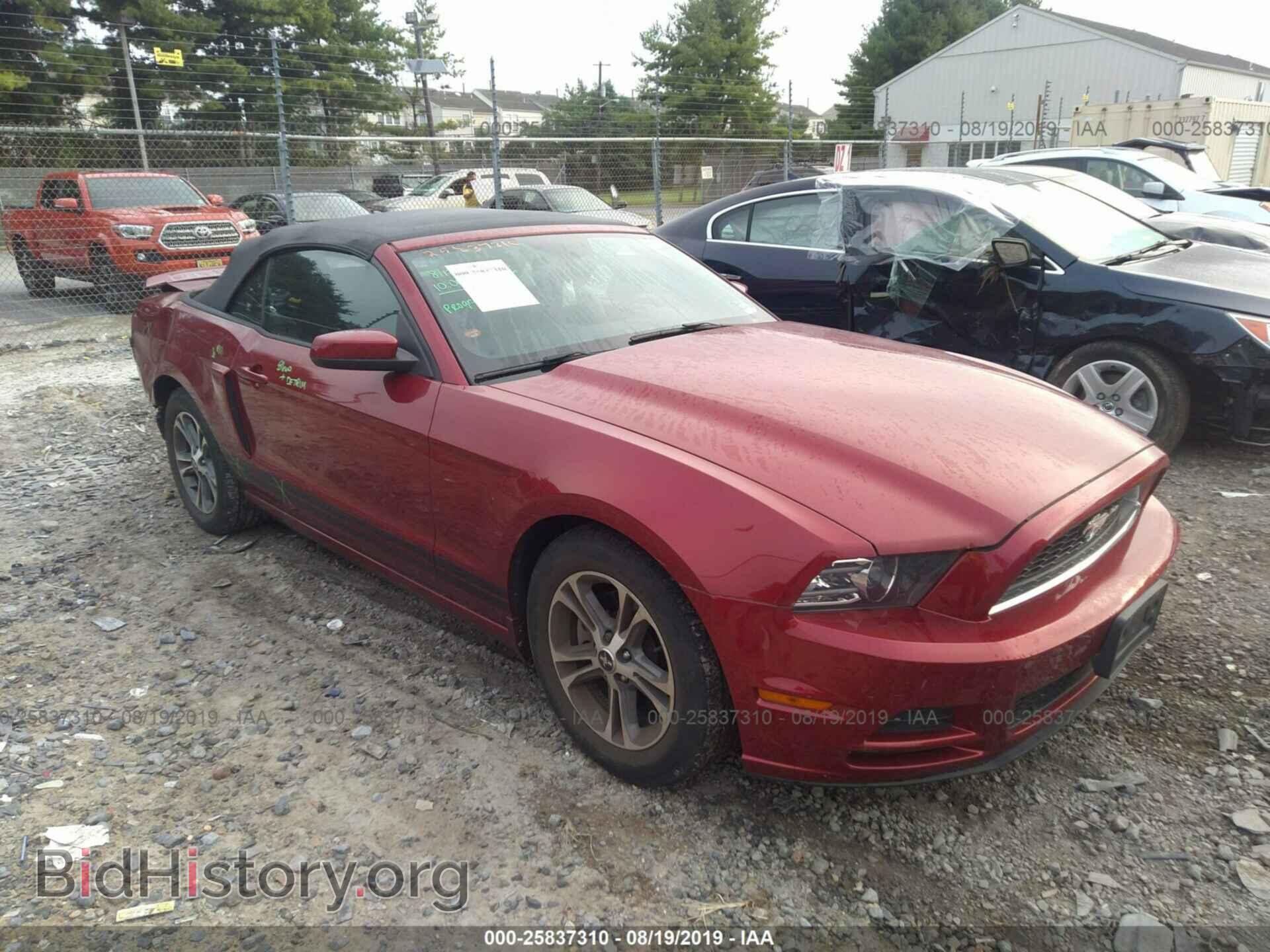 Фотография 1ZVBP8EM3E5314330 - FORD MUSTANG 2014