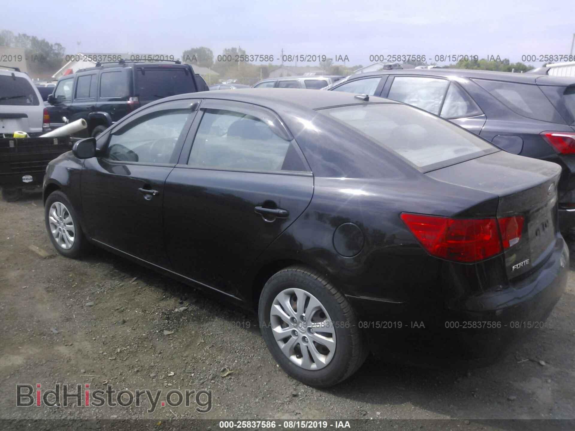 2013 KIA FORTE - VIN: KNAFT4A26D5664396 - Фото 3