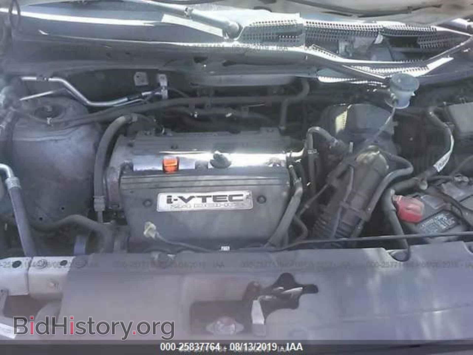 2004 HONDA ELEMENT - VIN: 5J6YH28324L002577 - Фото 10
