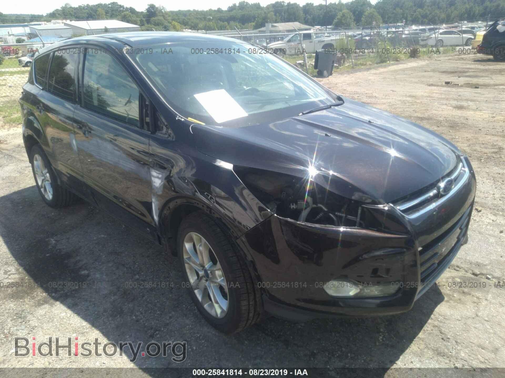 Фотография 1FMCU0HX1DUC83506 - FORD ESCAPE 2013