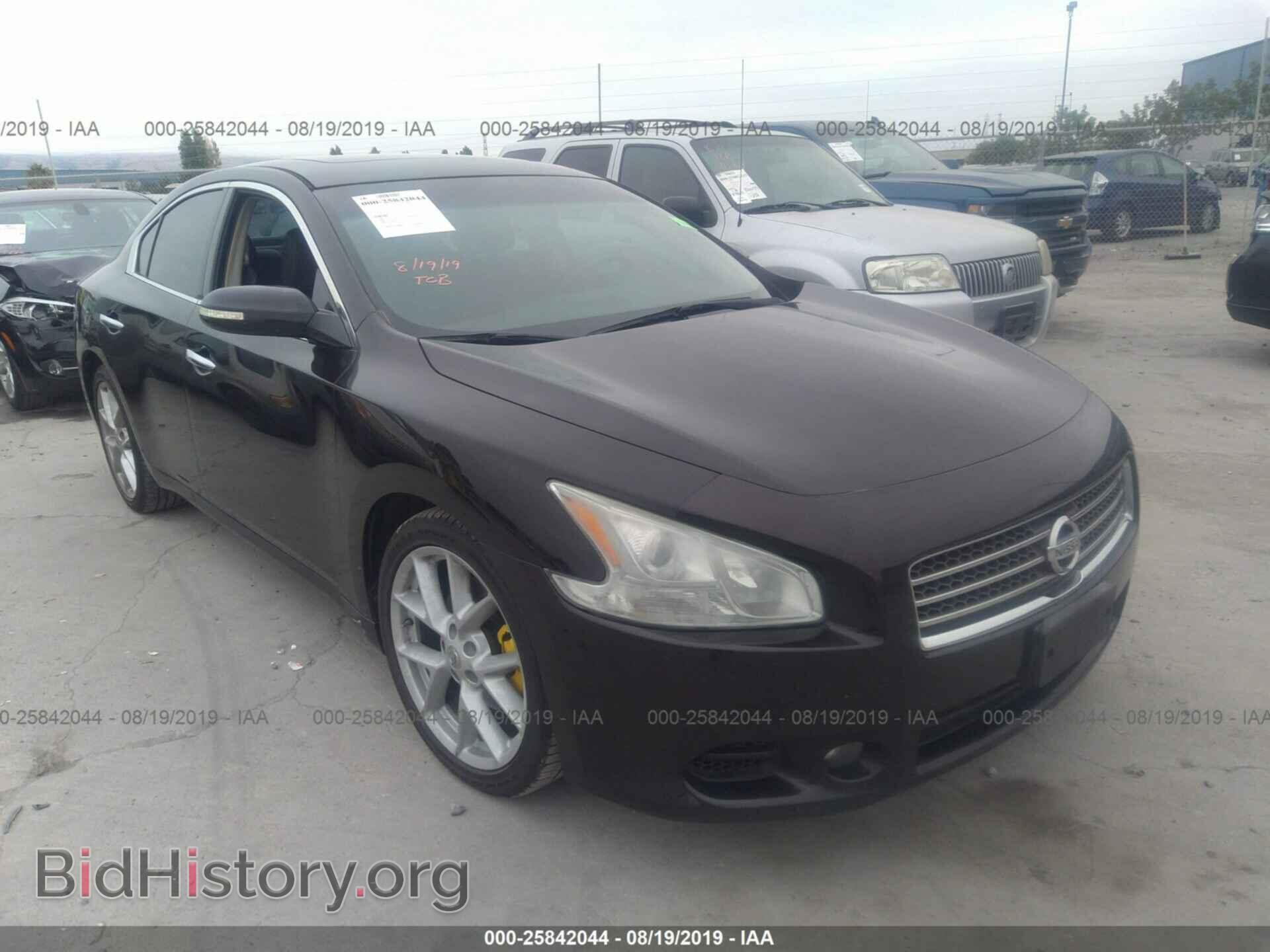 Фотография 1N4AA5AP1AC810673 - NISSAN MAXIMA 2010