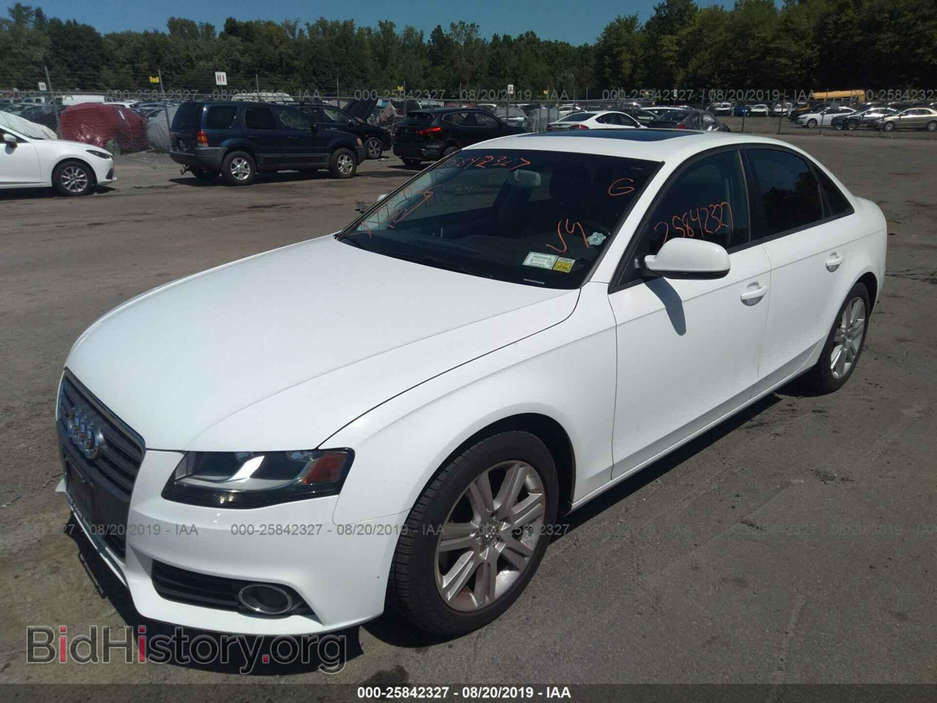 2010 AUDI A4 - VIN: WAUBFAFL3AA049328 - Фото 2