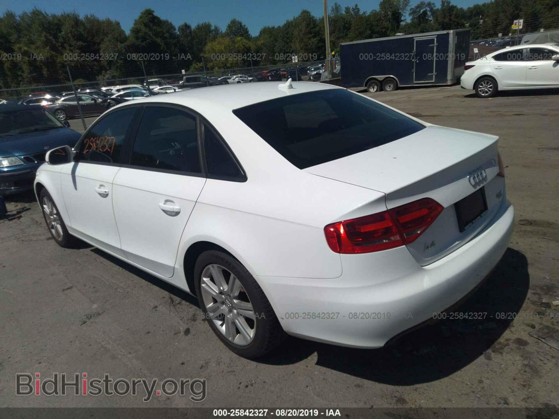 2010 AUDI A4 - VIN: WAUBFAFL3AA049328 - Фото 3