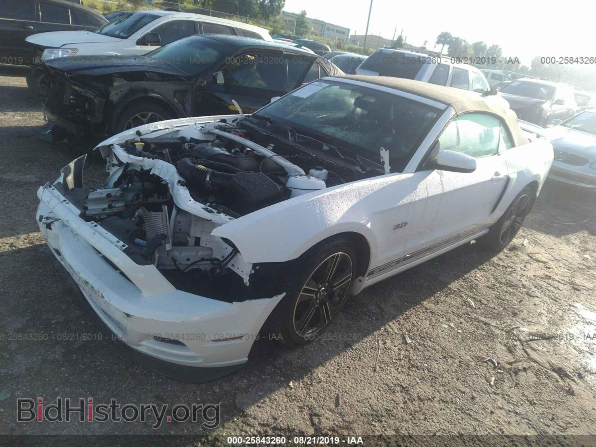 2013 FORD MUSTANG - VIN: 1ZVBP8FF4D5253889 - Фото 2