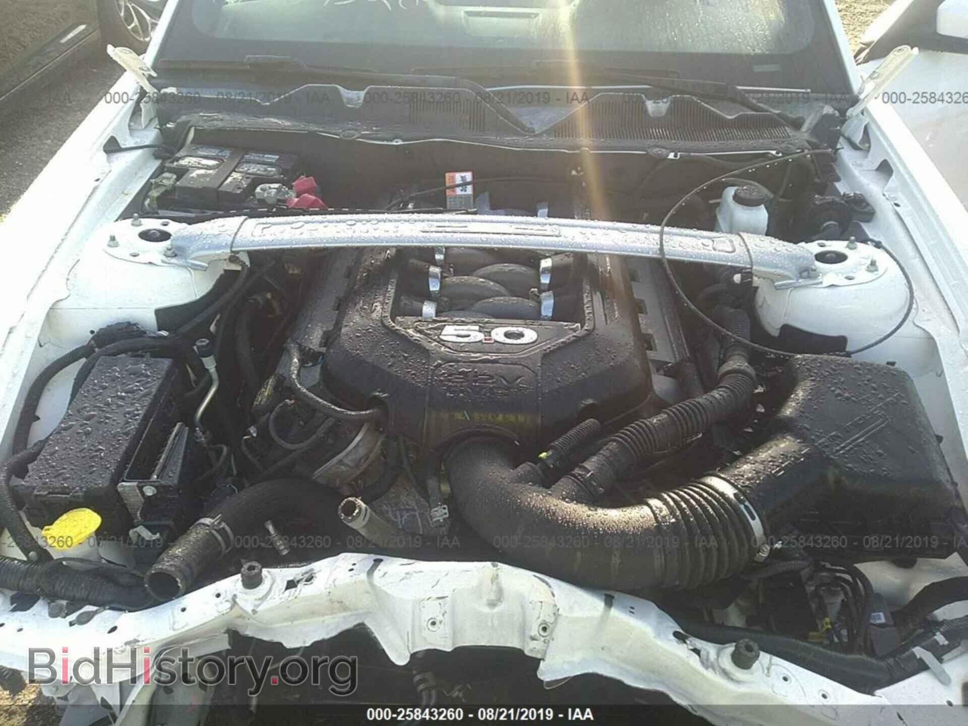 2013 FORD MUSTANG - VIN: 1ZVBP8FF4D5253889 - Фото 10