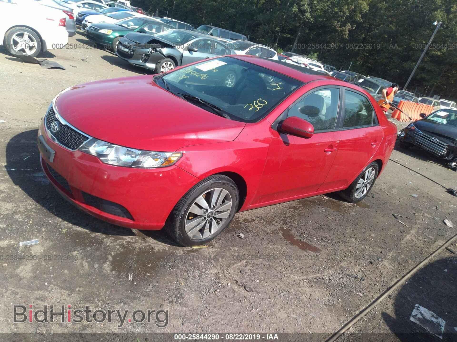 2013 KIA FORTE - VIN: KNAFU4A20D5739865 - Фото 2