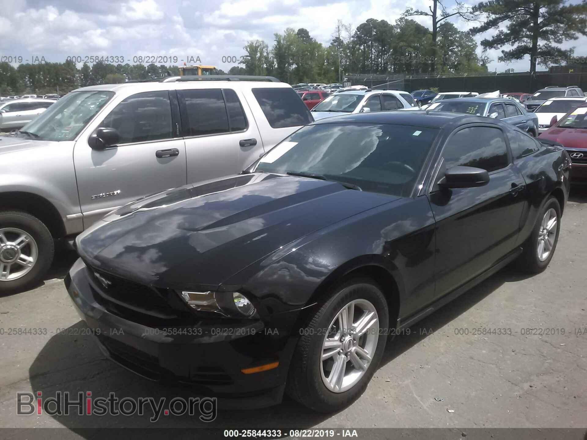 2012 FORD MUSTANG - VIN: 1ZVBP8AM6C5238766 - Фото 2
