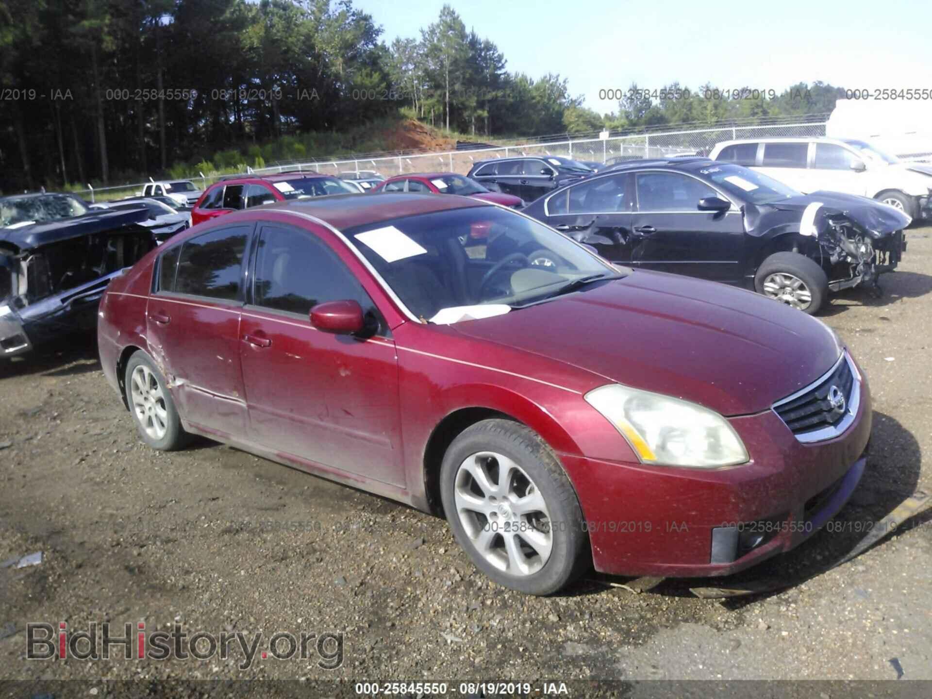 Photo 1N4BA41E58C814619 - NISSAN MAXIMA 2008
