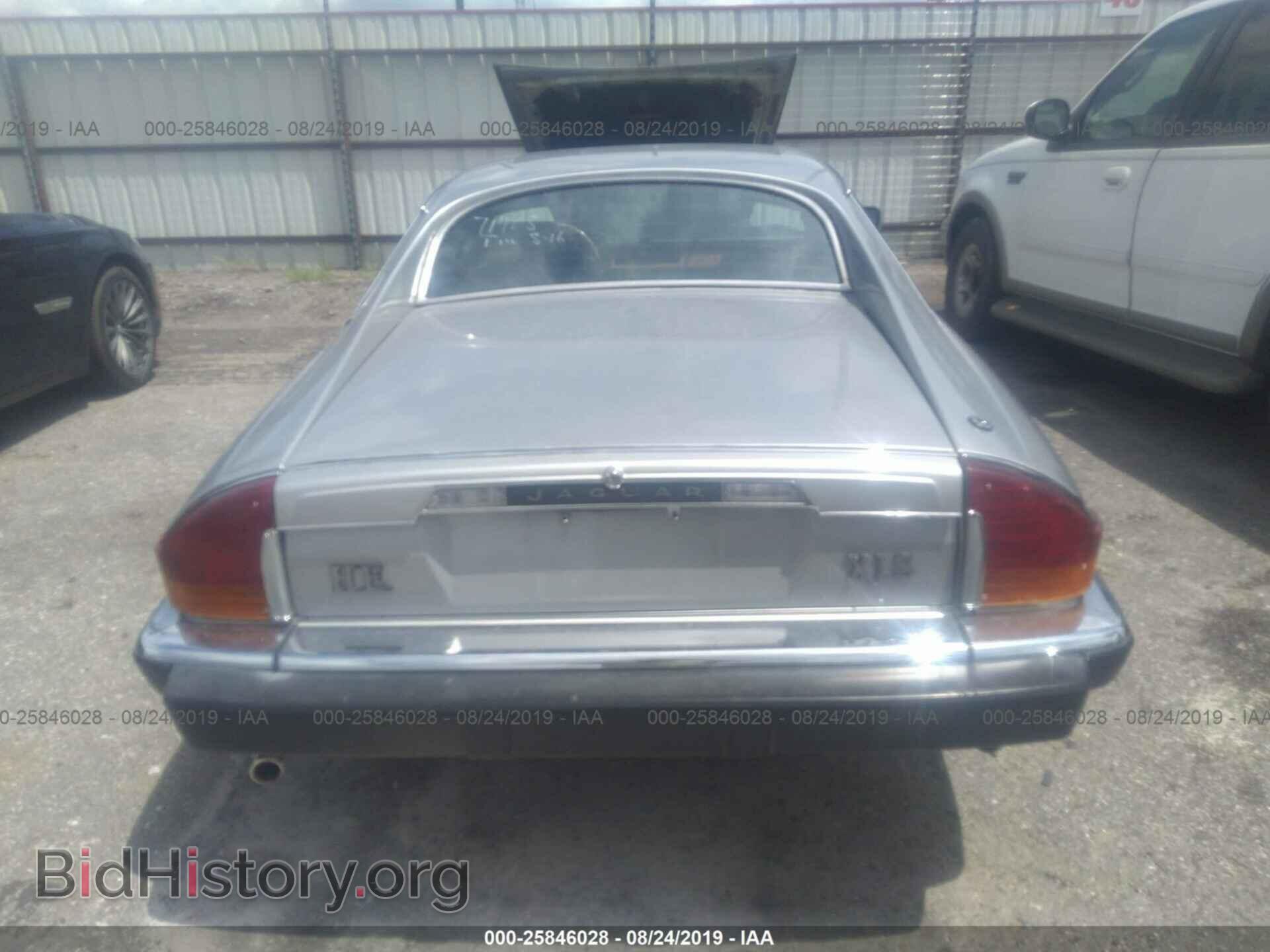 1982 JAGUAR XJS - VIN: SAJNV584XCC105595 - Фото 6