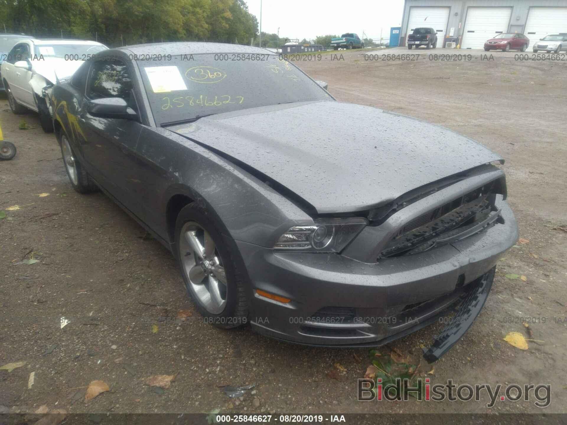 Photo 1ZVBP8AM9D5204242 - FORD MUSTANG 2013