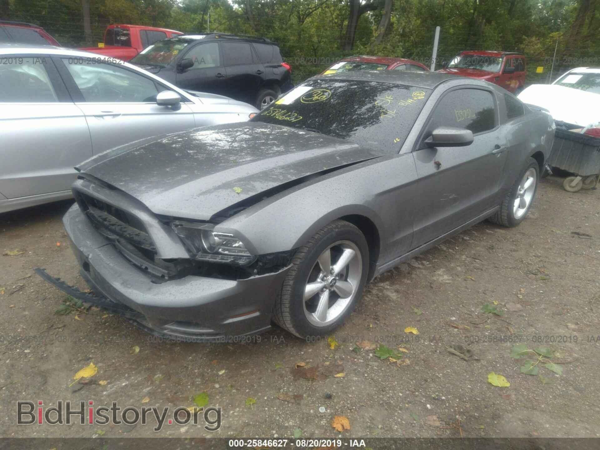 2013 FORD MUSTANG - VIN: 1ZVBP8AM9D5204242 - Фото 2